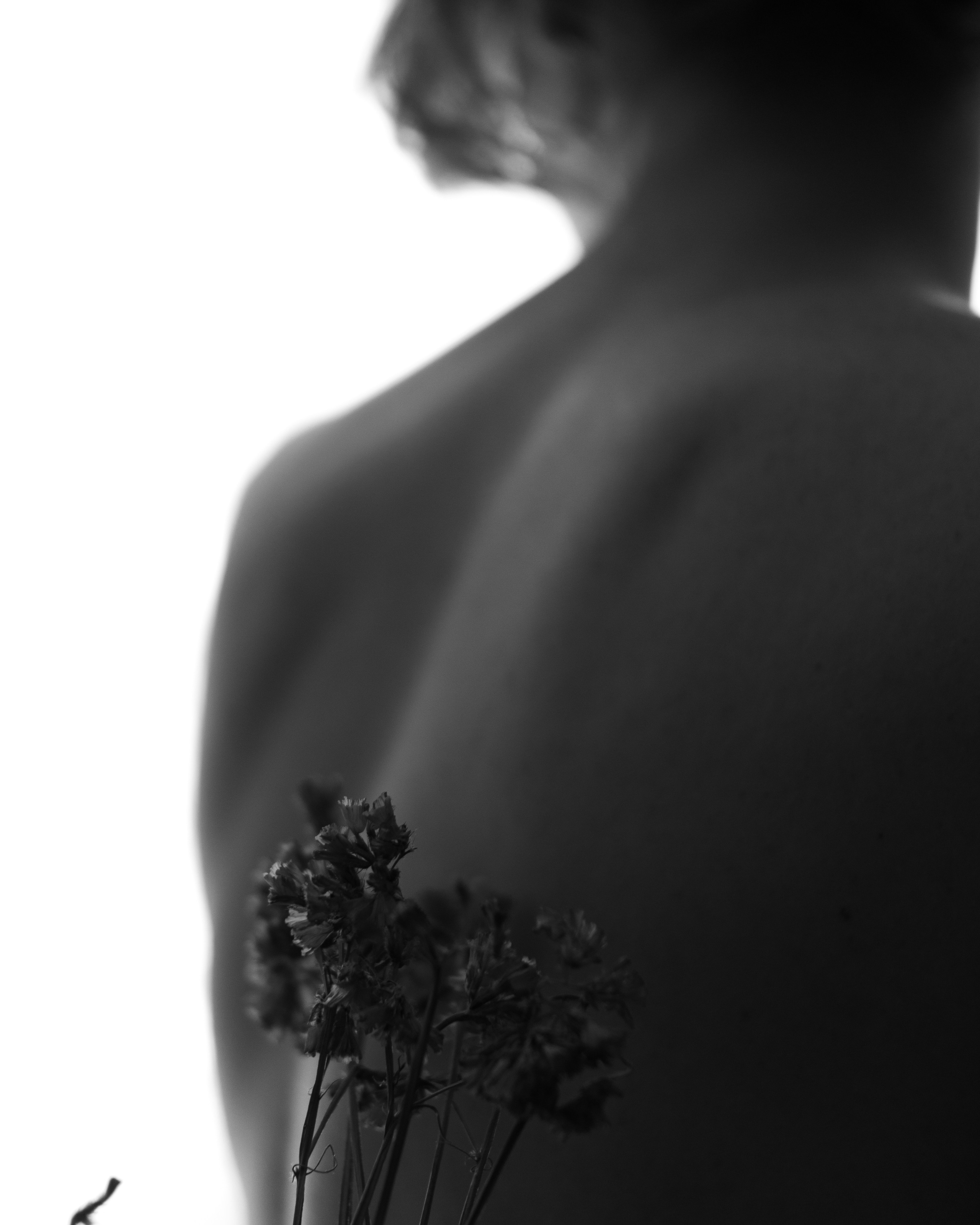 Свет и Только. Фотограф Париж / Photographer Paris