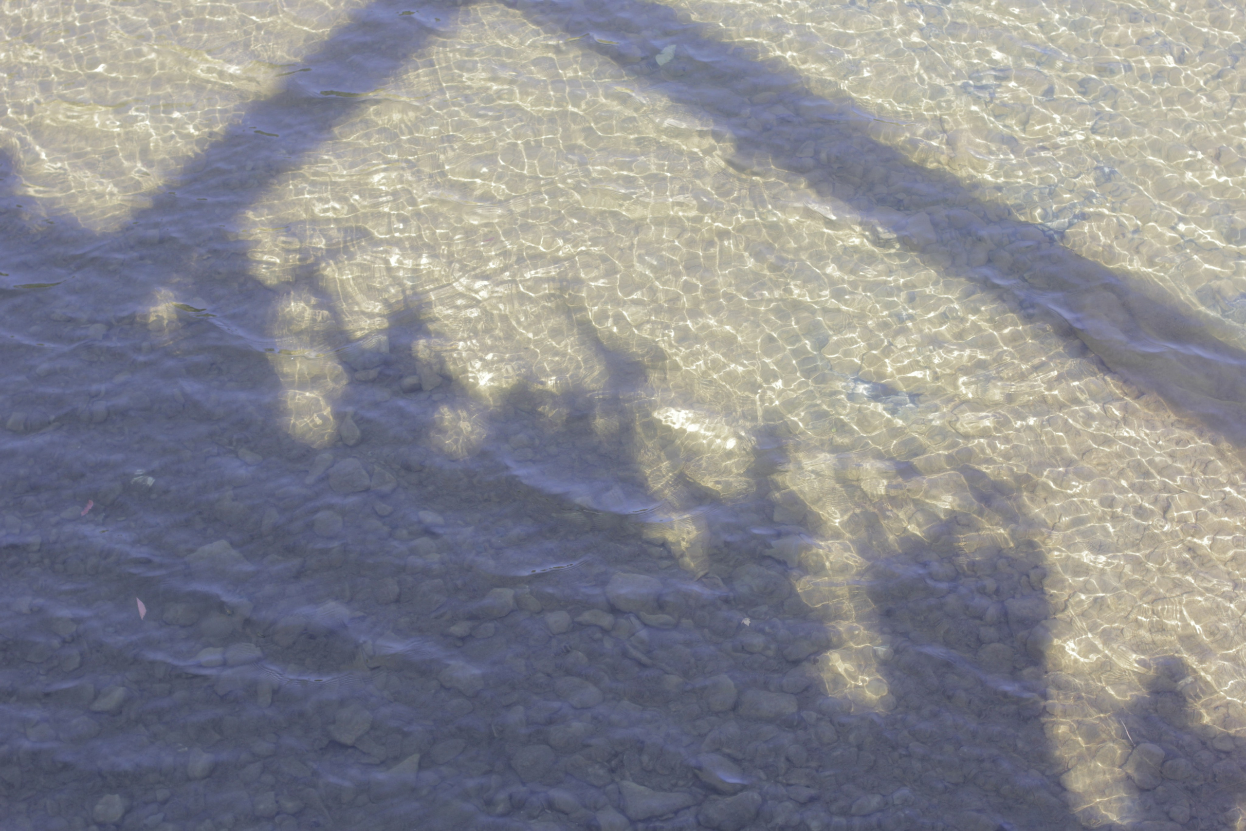 Горячий Ключ (2024-09-22). Собор Отрасли