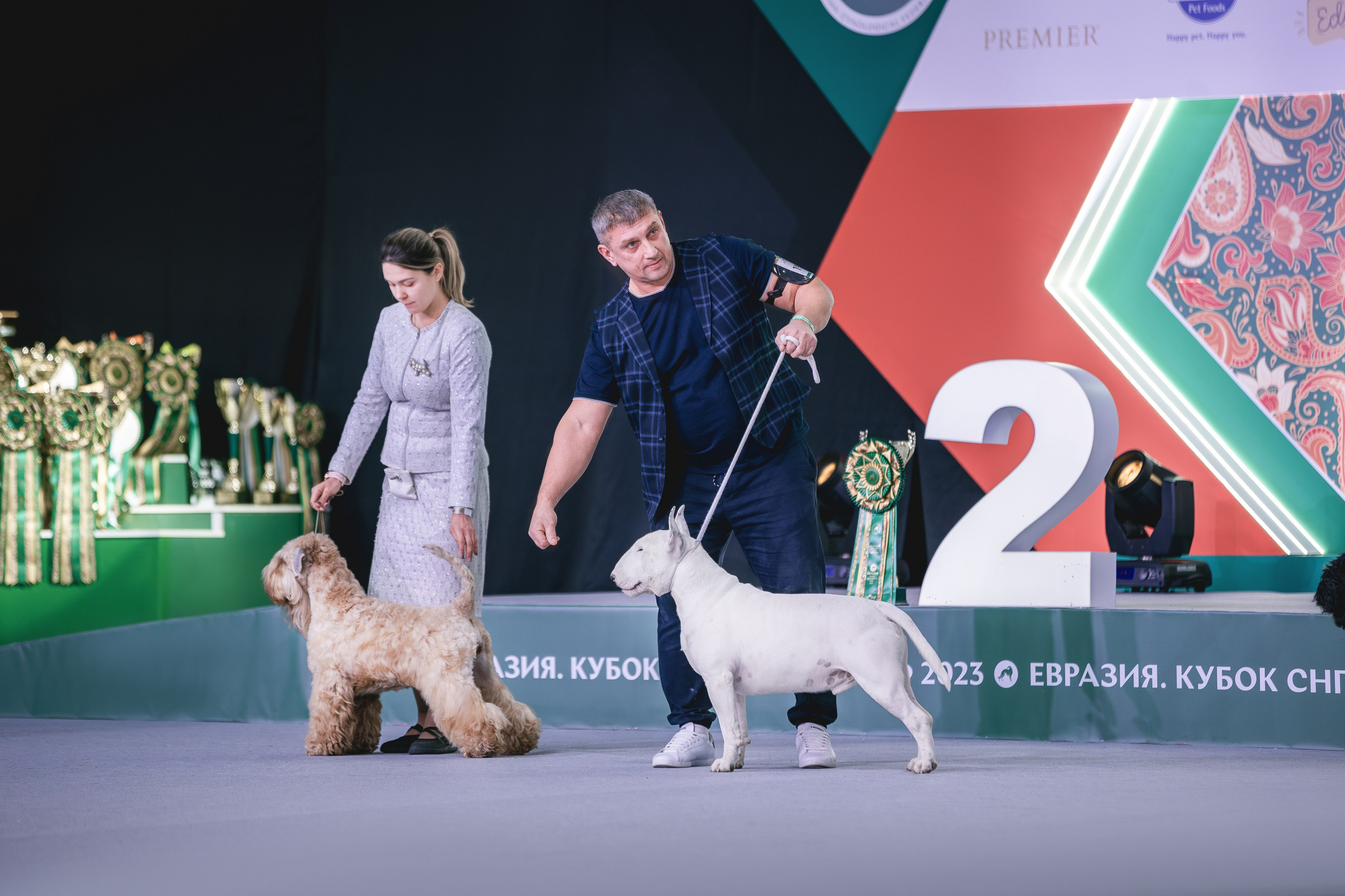 Евразия 2023. Фотограф анималист в Москве Майорова Евгения