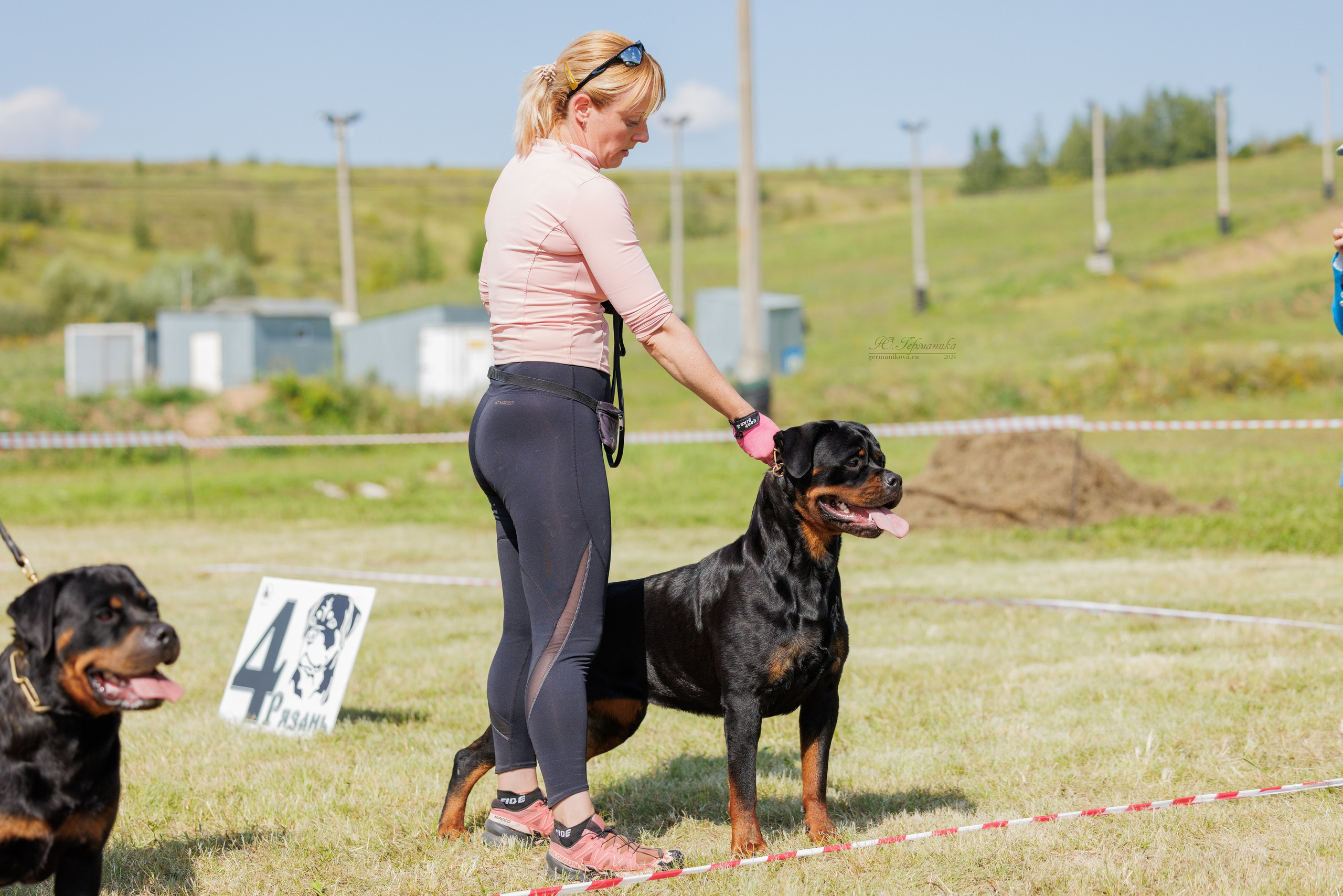 Рязань-Ховрино 10-11.08.2024 3хмоно ротвейлеров. Фотограф-анималист Юлия Германика