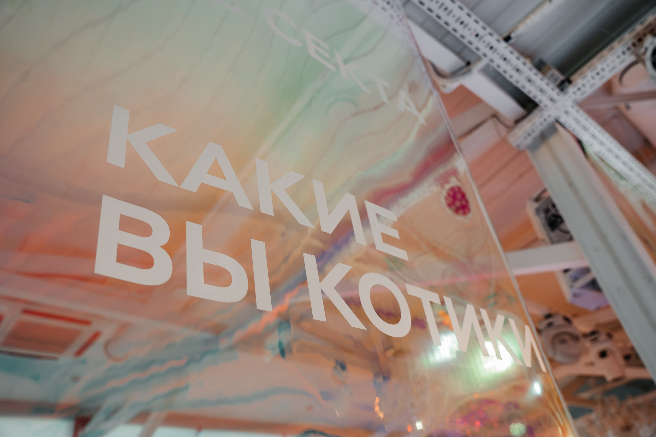 Съемка корпоратива для IT-Agency. Свадебный фотограф Барнаул Алексей Павлов