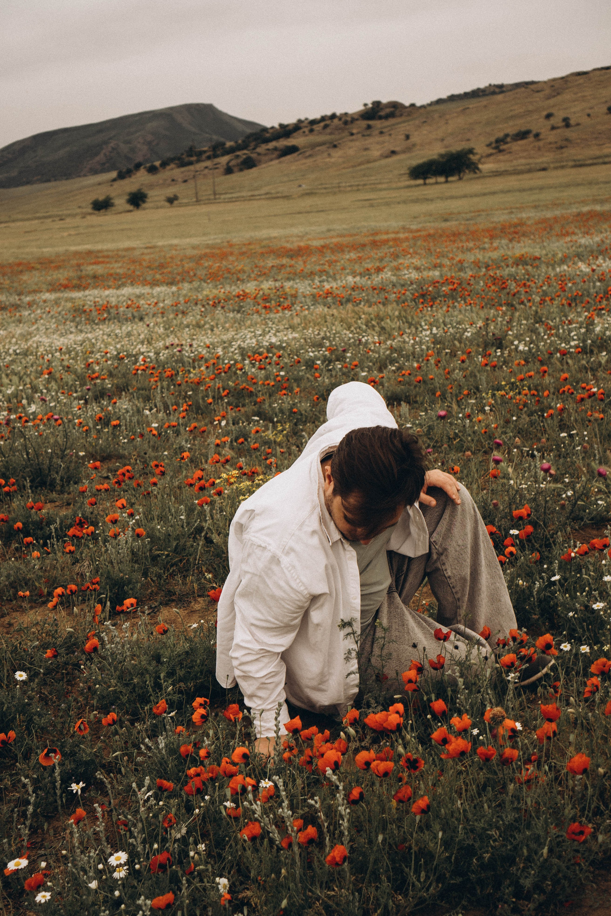 Маки. Профессиональный фотограф, Санкт-Петербург — Виктория Богомолова