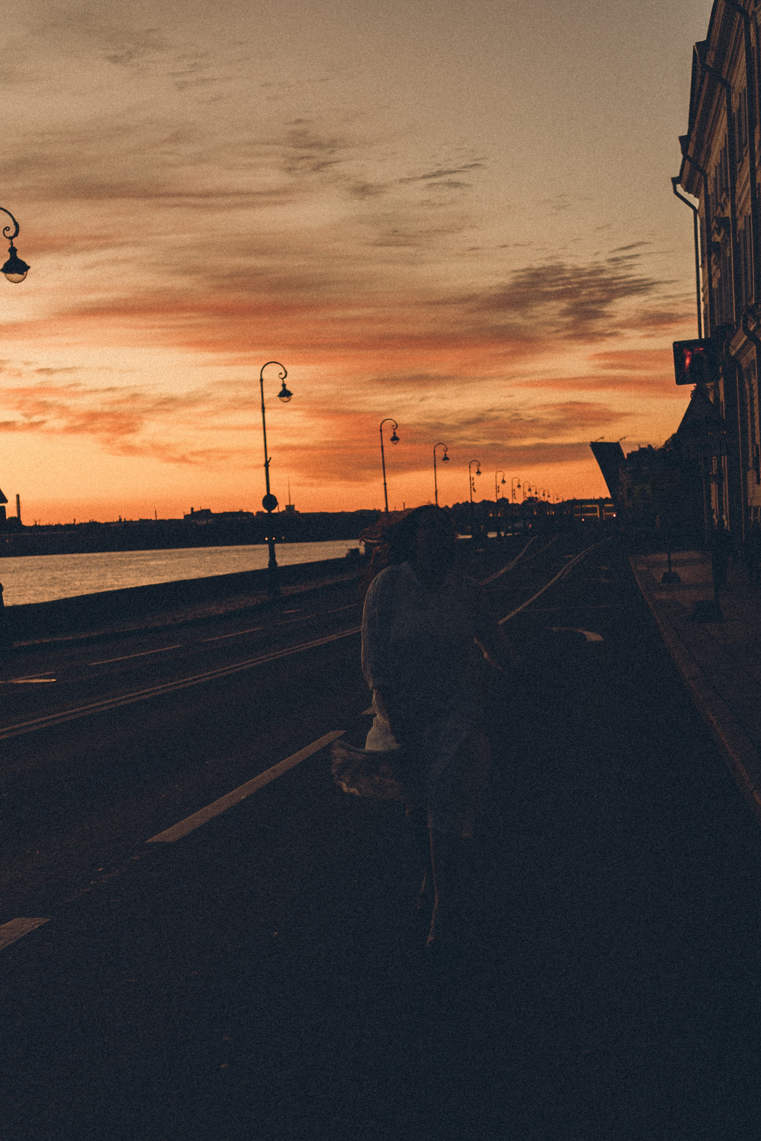 РАССВЕТ С РАЗВОДНЫМИ МОСТАМИ. Профессиональный фотограф, Санкт-Петербург — Виктория Богомолова