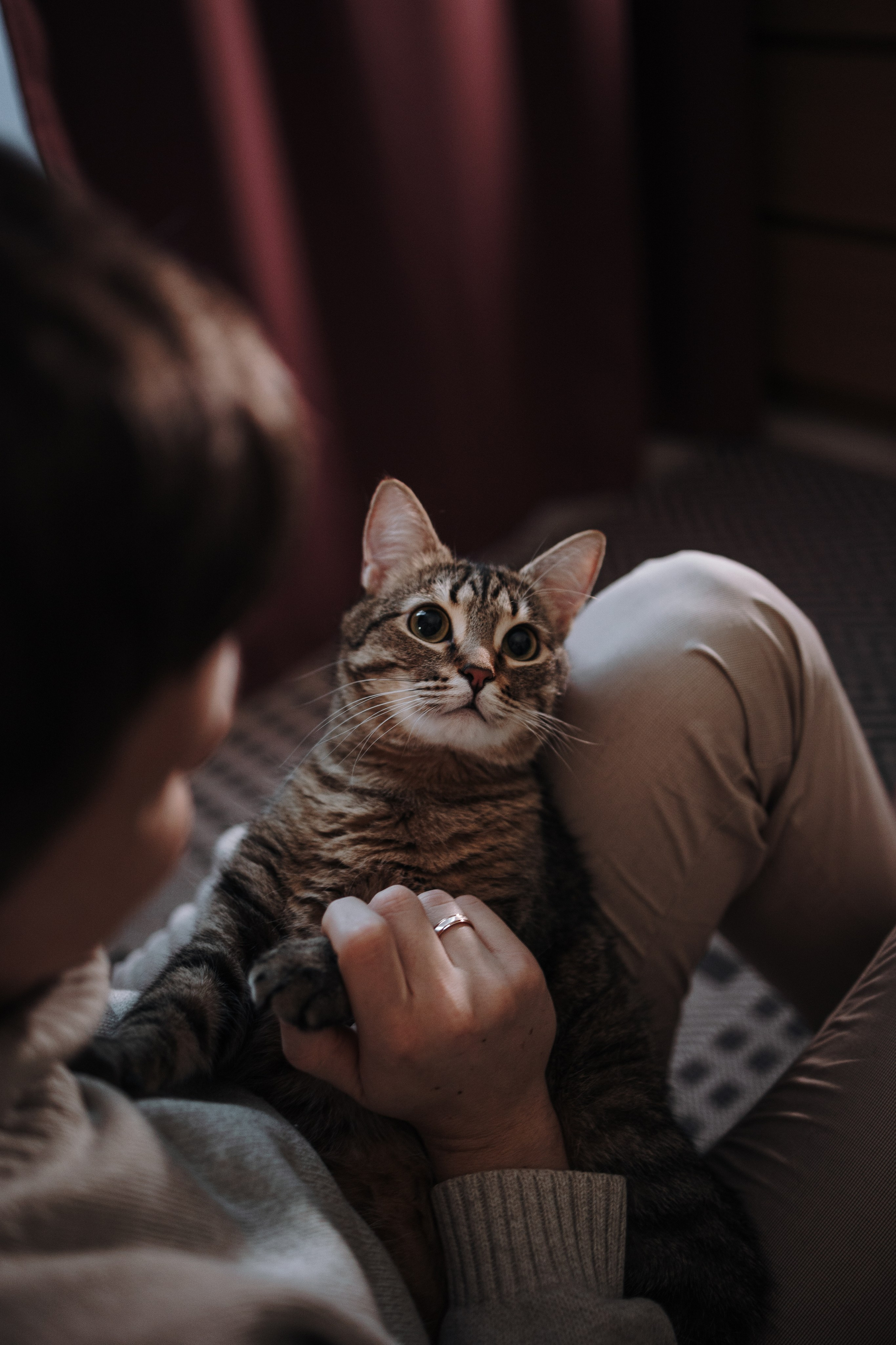 Мася и ее семья. Фотограф — Анималист | Санкт-Петербург