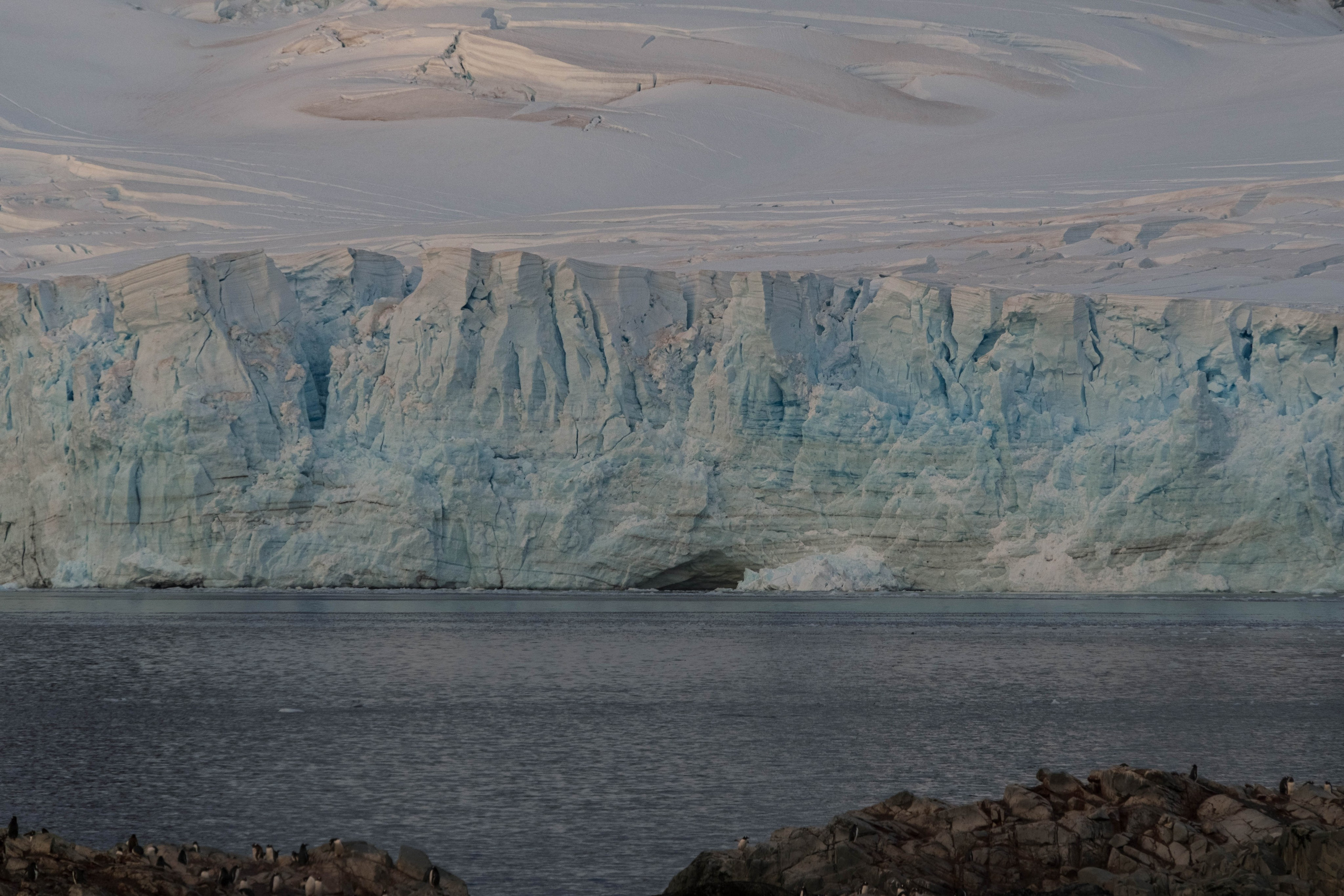 Материк и льды. Фотографии из путешествий