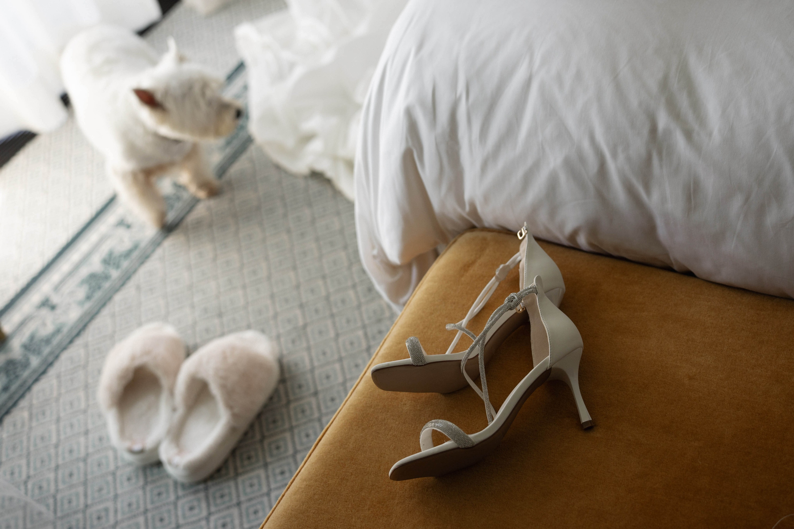 Четыре сезона. Фотограф в Санкт-Петербурге Александр Дымов