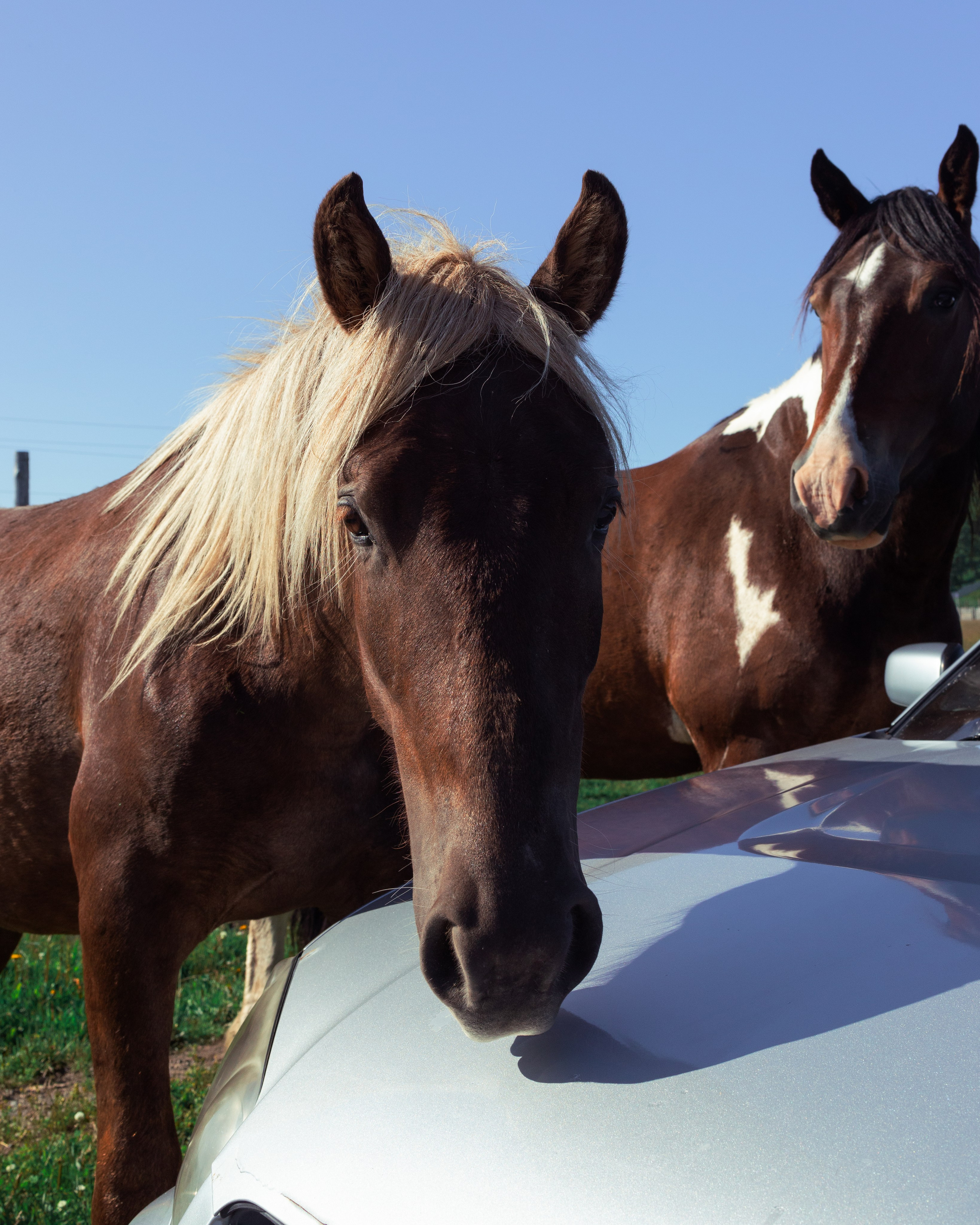 Мария. Свадебный фотограф в Петропавловске-Камчатском Артур Зябов