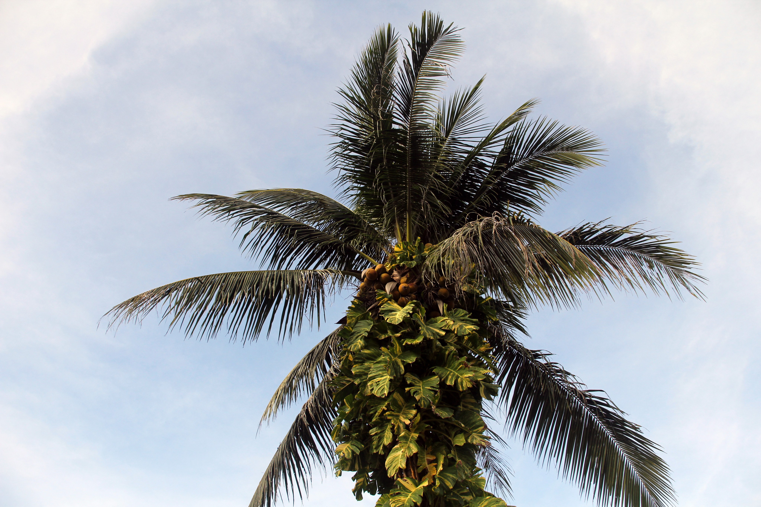 Пхукет. Фотограф Алексей Федорищев