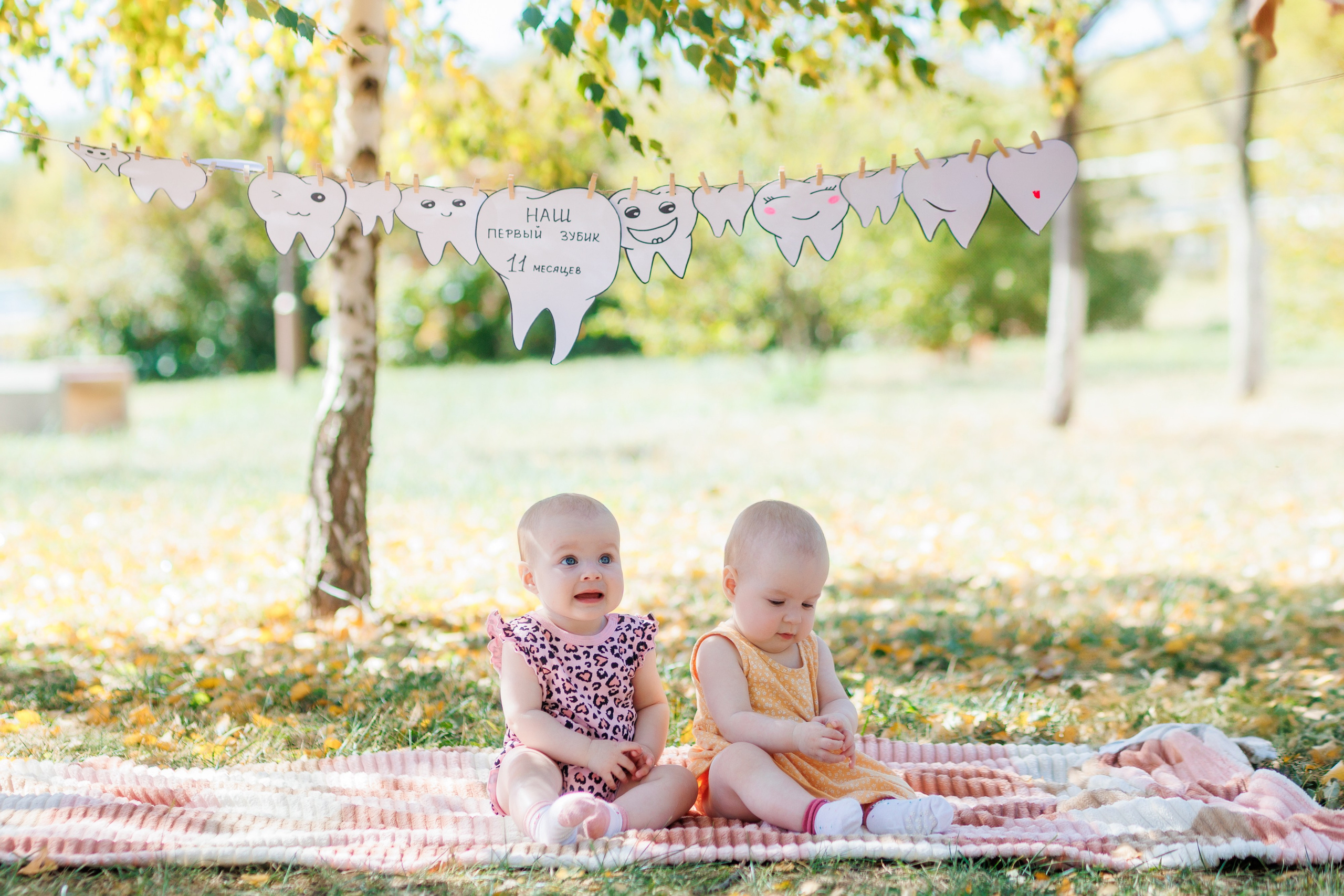 Первый зубик. Свадебный и семейный фотограф в Армавире
