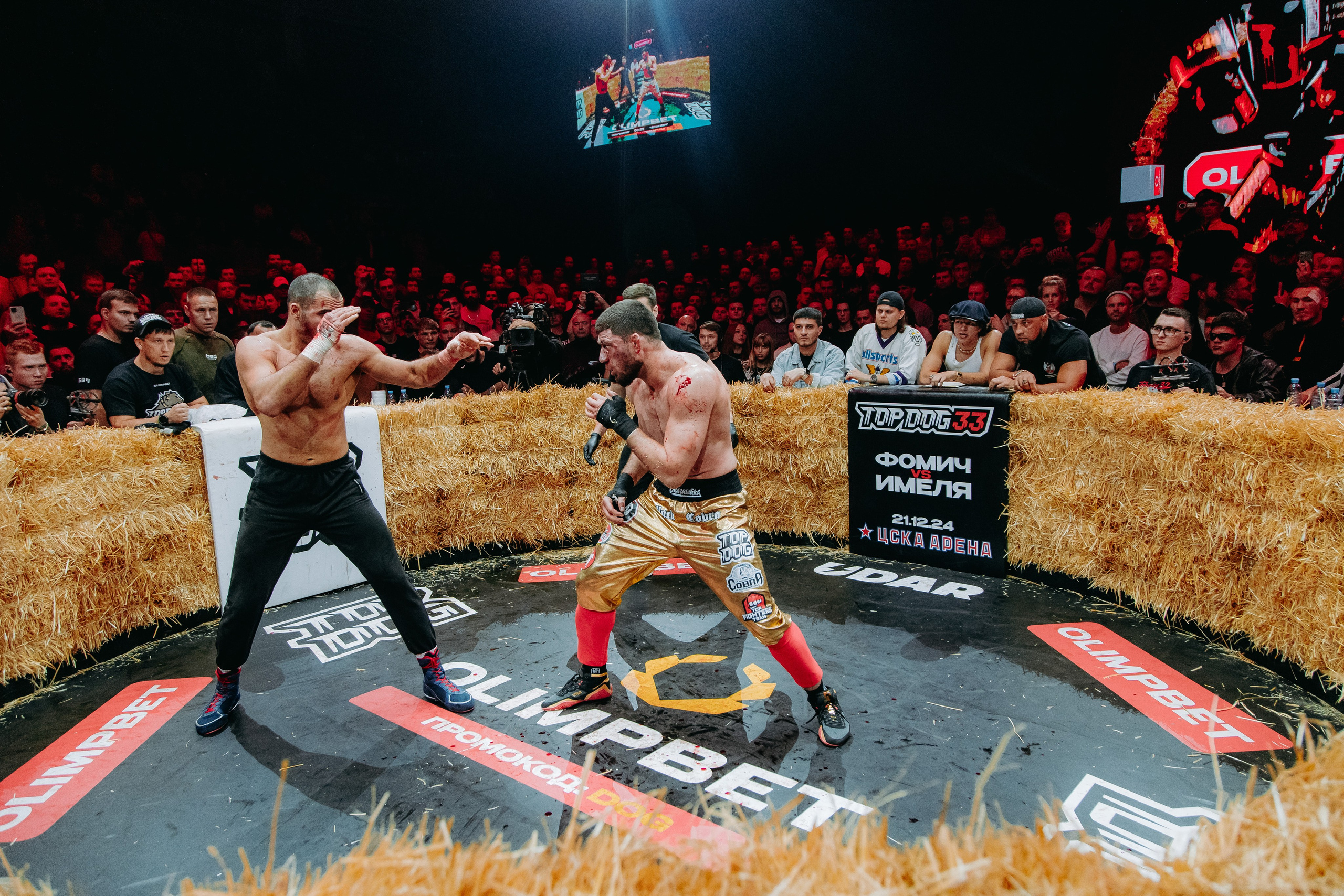 TOPDOG — 32. Фотограф в Саратове Александр Кухаренко. И не только в Саратове :)