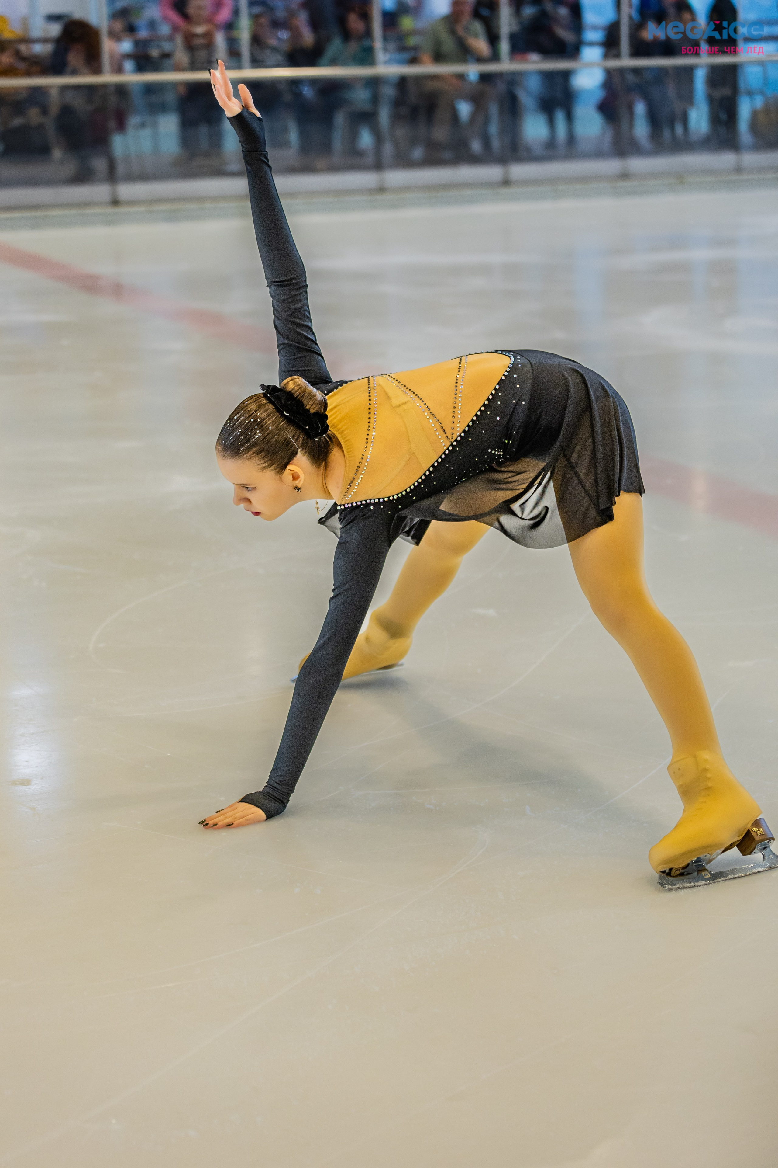 MEGAICE показательные выступления. Фотограф в Москве портреты | репортажи | спорт