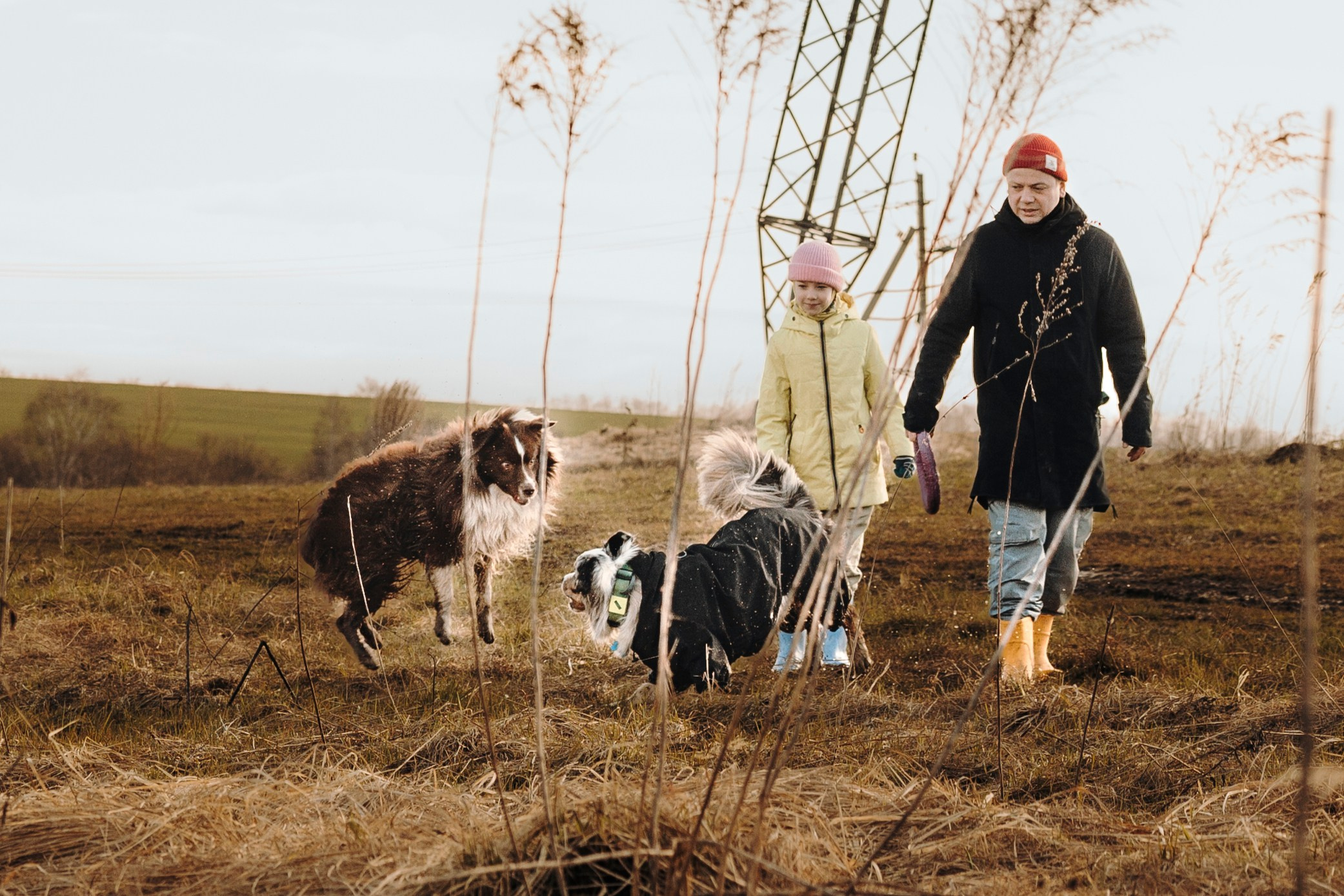 Смена в «DogCamp». Анастасия Белаш