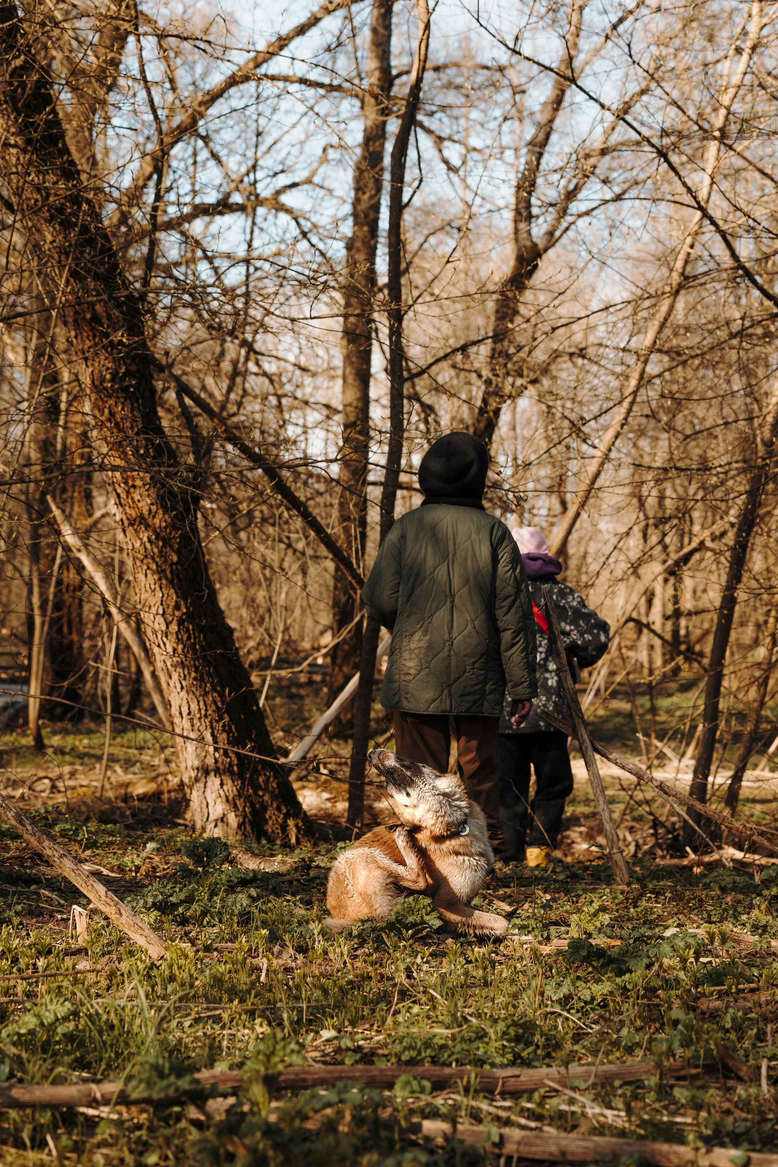 Смена в «DogCamp». Анастасия Белаш