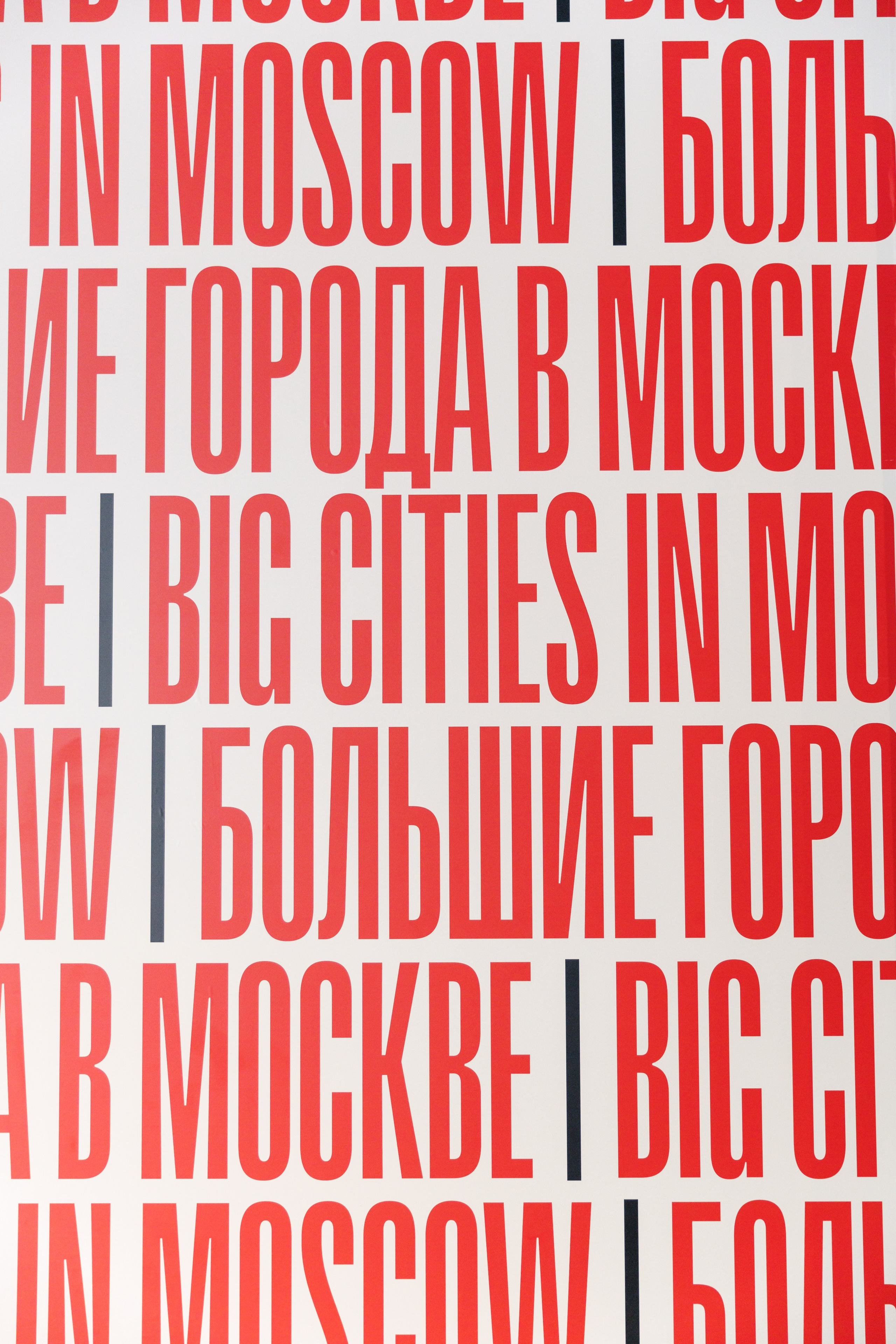 Репортажная съемка на международном проекте БРИКС в Москве. Фотограф Валерия Горбунова Подольск Бутово Видное Щербинка