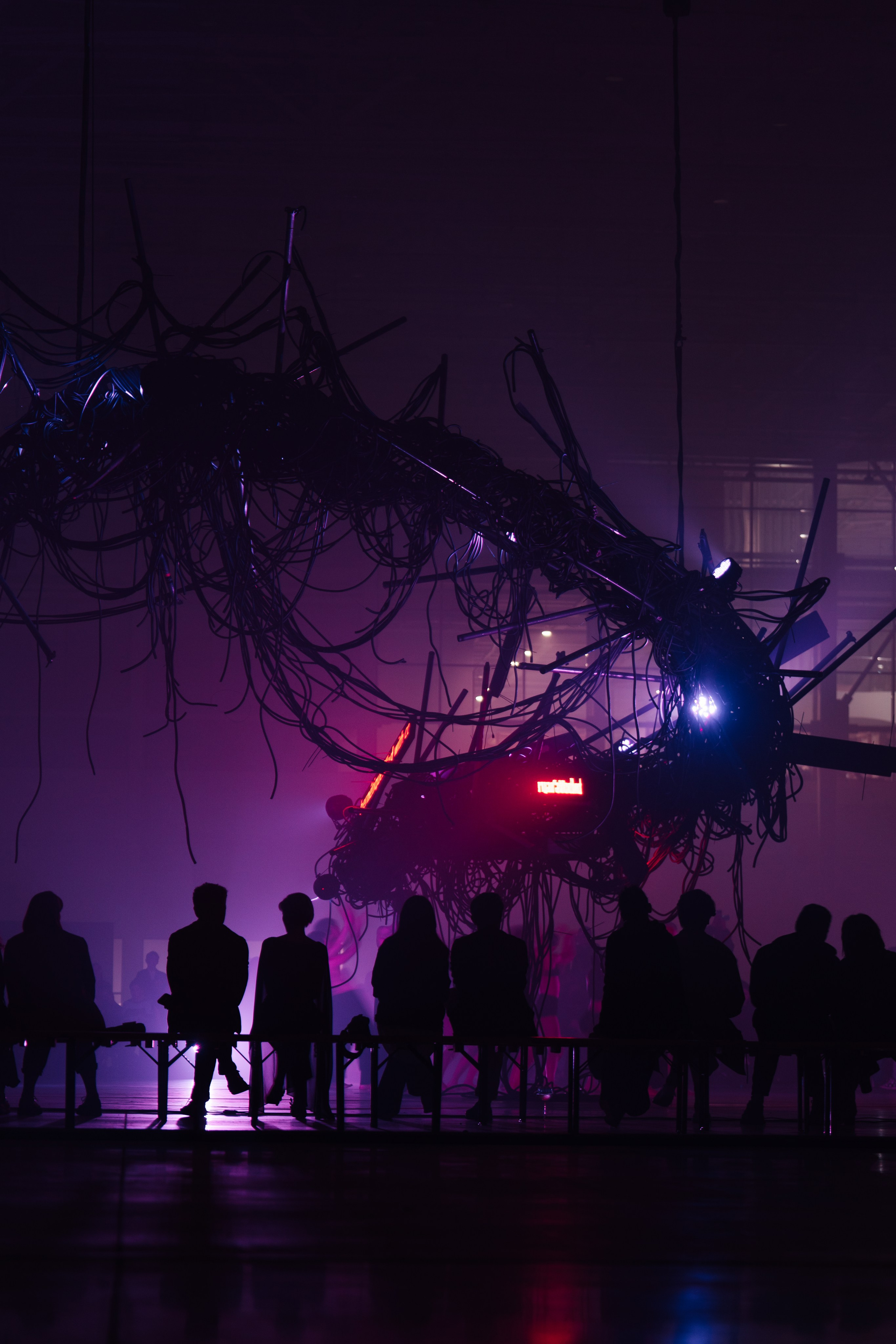 PERFORMA, The Hour of the Horse. @tomrus: Рустам Шагиморданов — фотограф