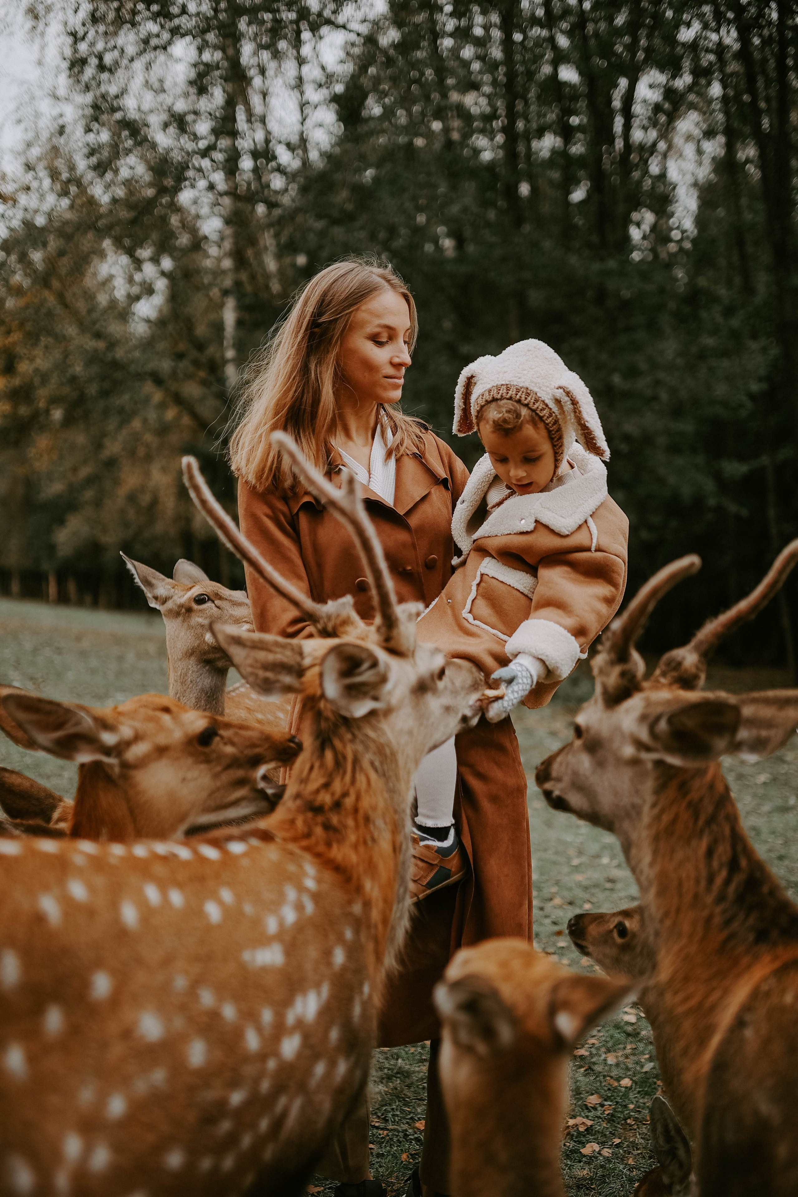 Фотовстреча с оленями. Photographer in Moscow & everywhere in the World Alena Vyalova