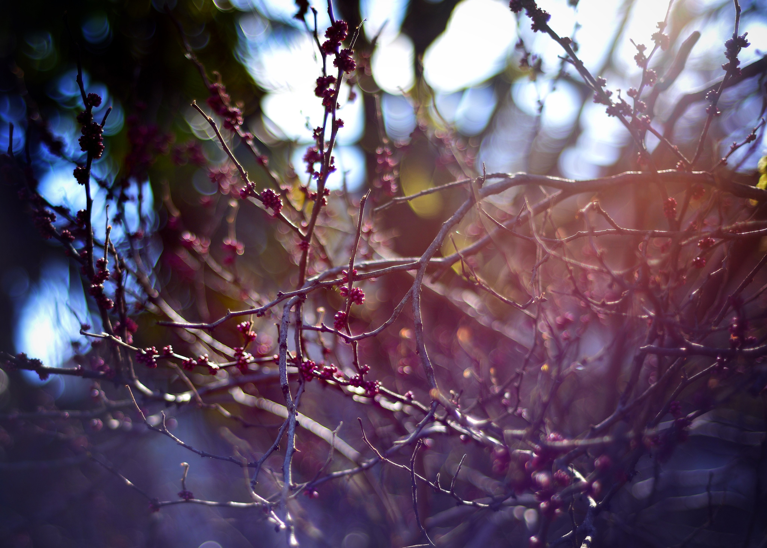 Есть. Психолог • Миронова Елена