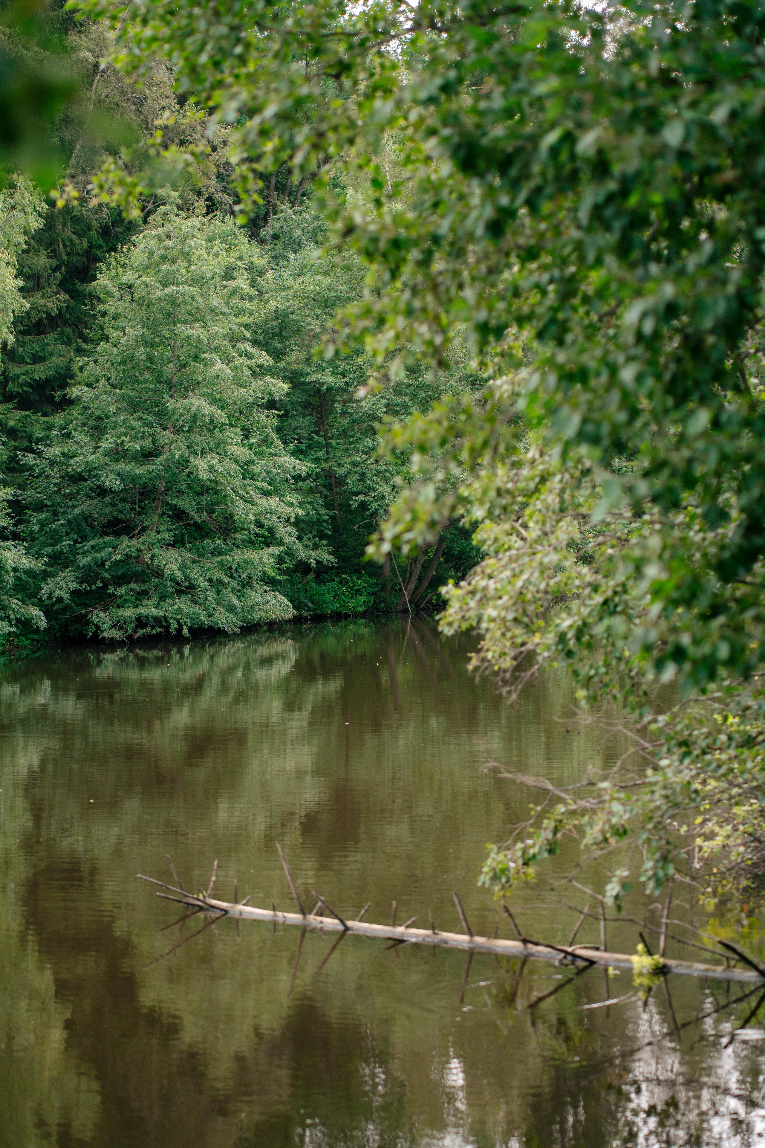Александр и Евгений. Свадебный и портретный фотограф в Москве Гудумак Евгений