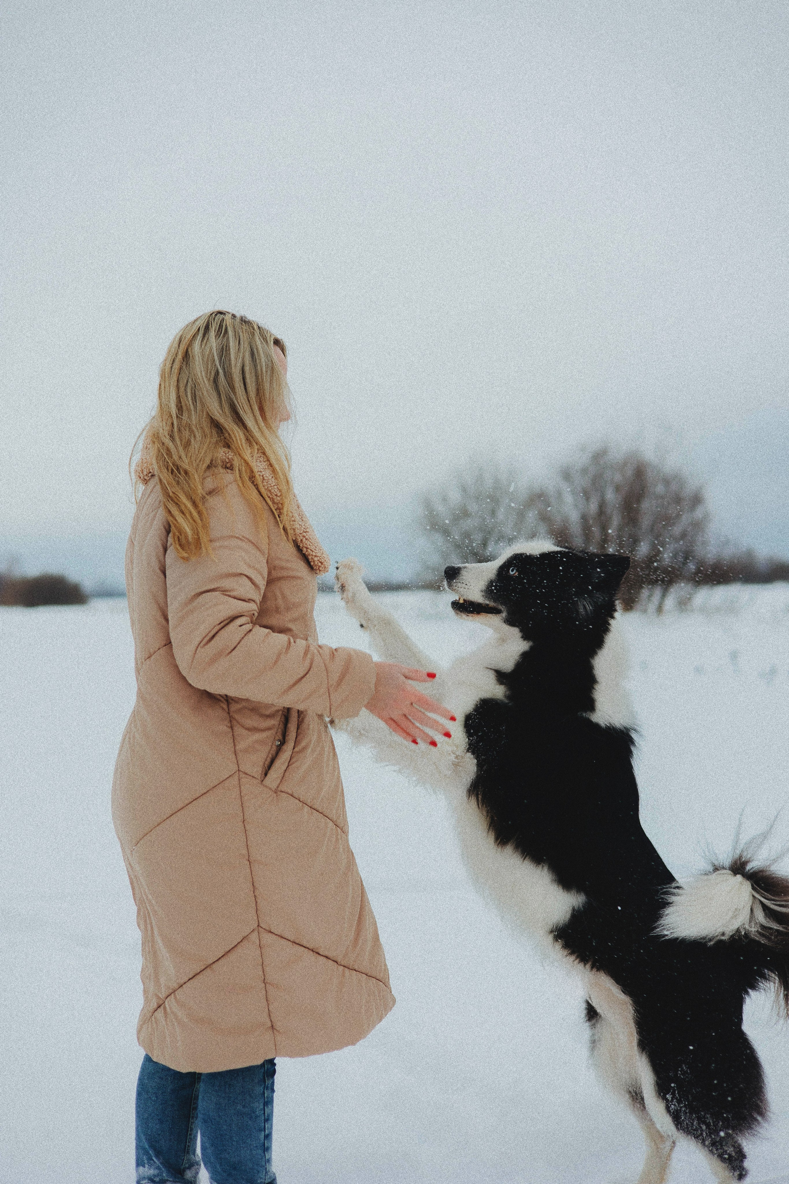Анна и Тео. Фотограф-анималист Богданова Полина