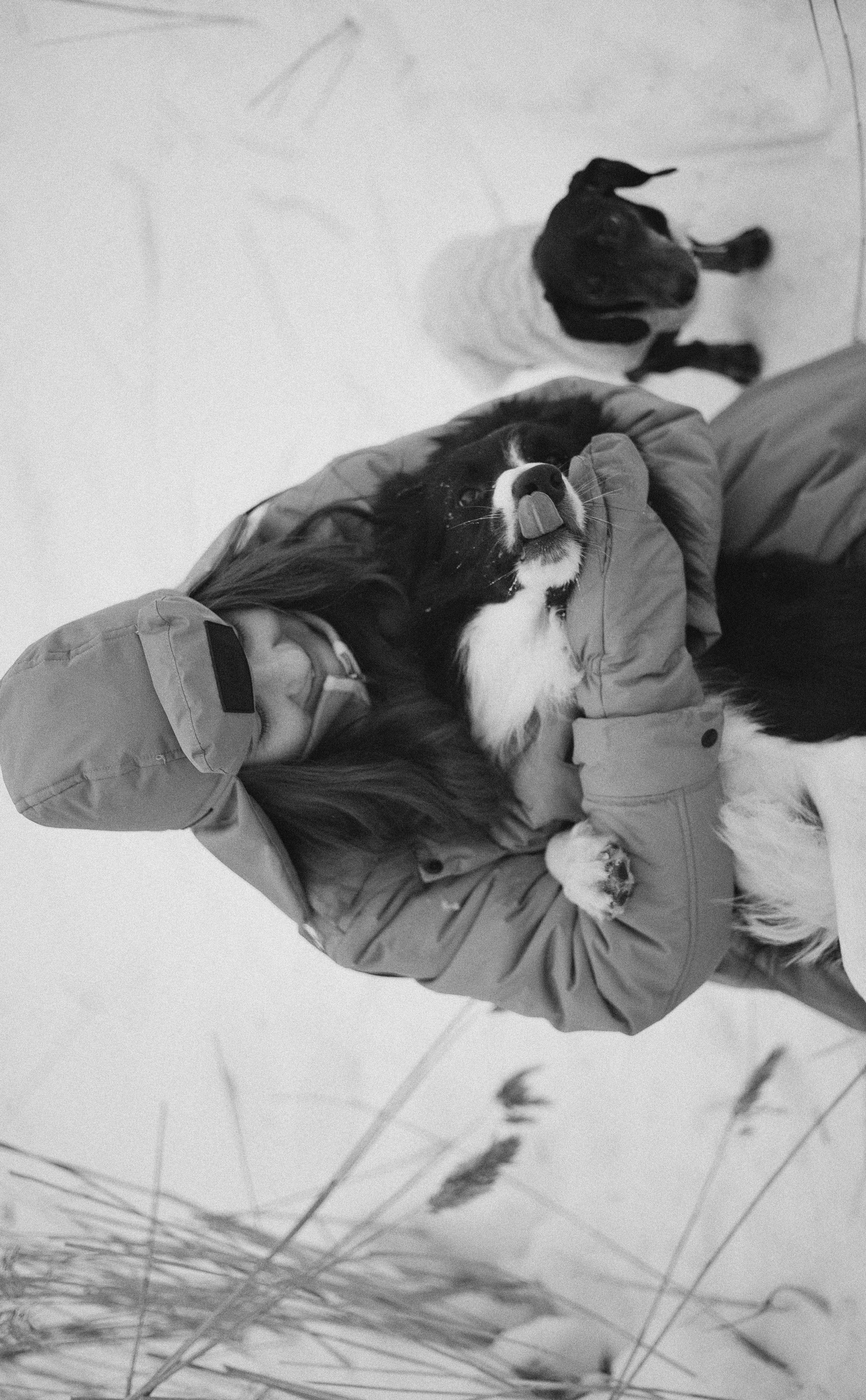 Маша, Рэм и Ньютон. Фотограф-анималист Богданова Полина