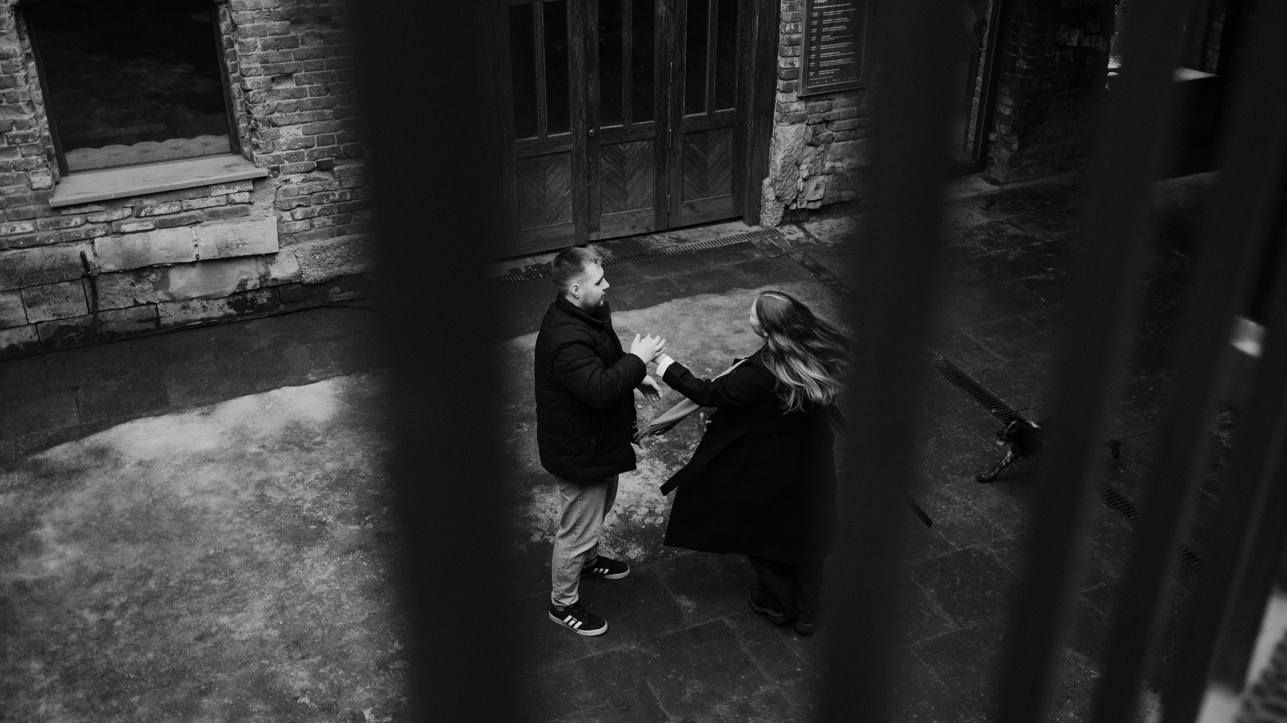 Вика и Кирилл. Фотограф-анималист Богданова Полина