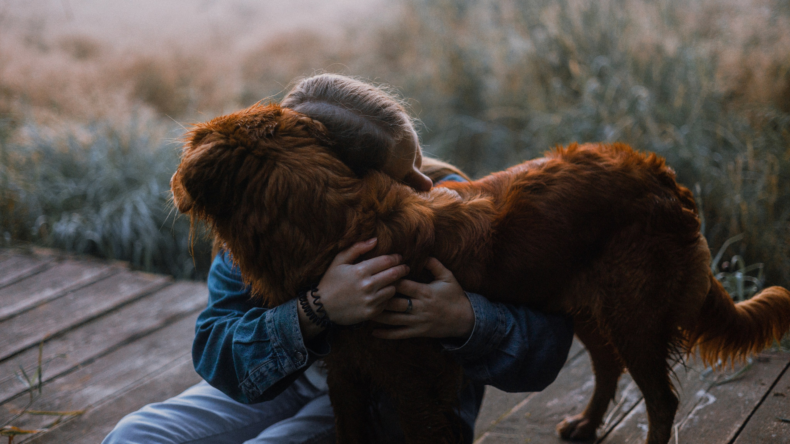 Ксюша и Мэди. Фотограф-анималист Богданова Полина