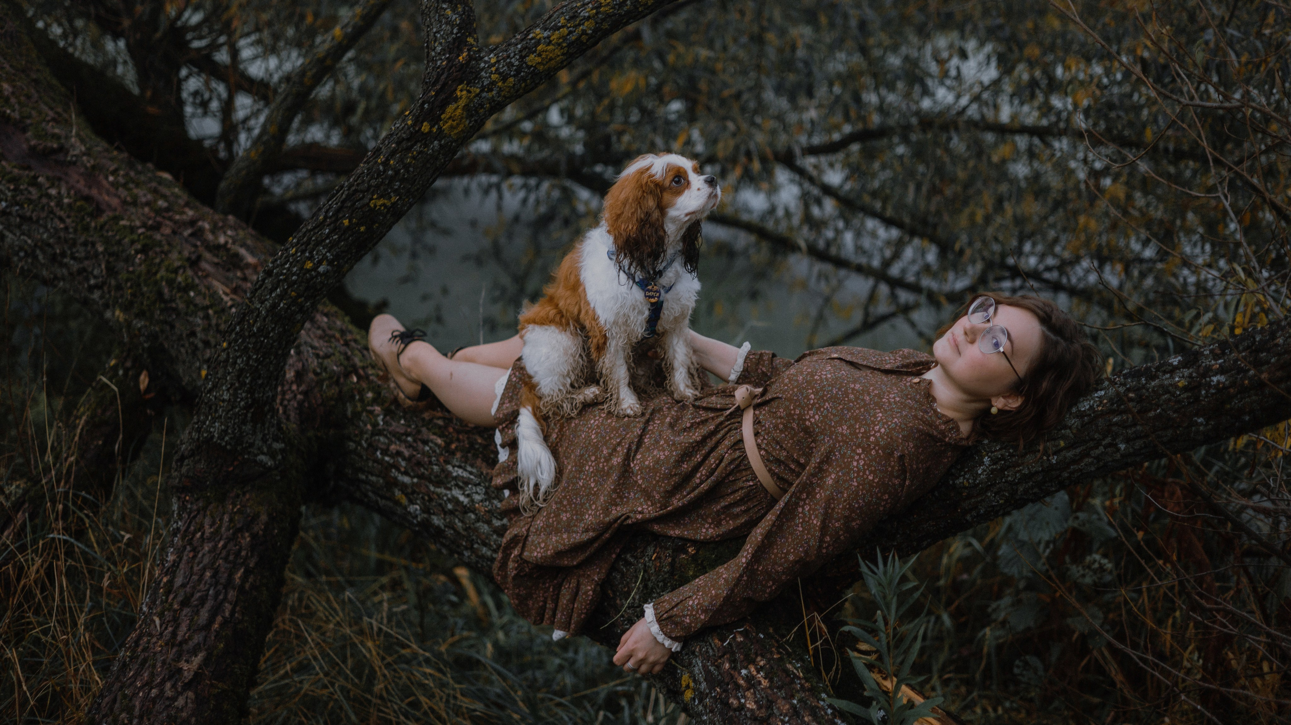 Маша и Дарси. Фотограф-анималист Богданова Полина