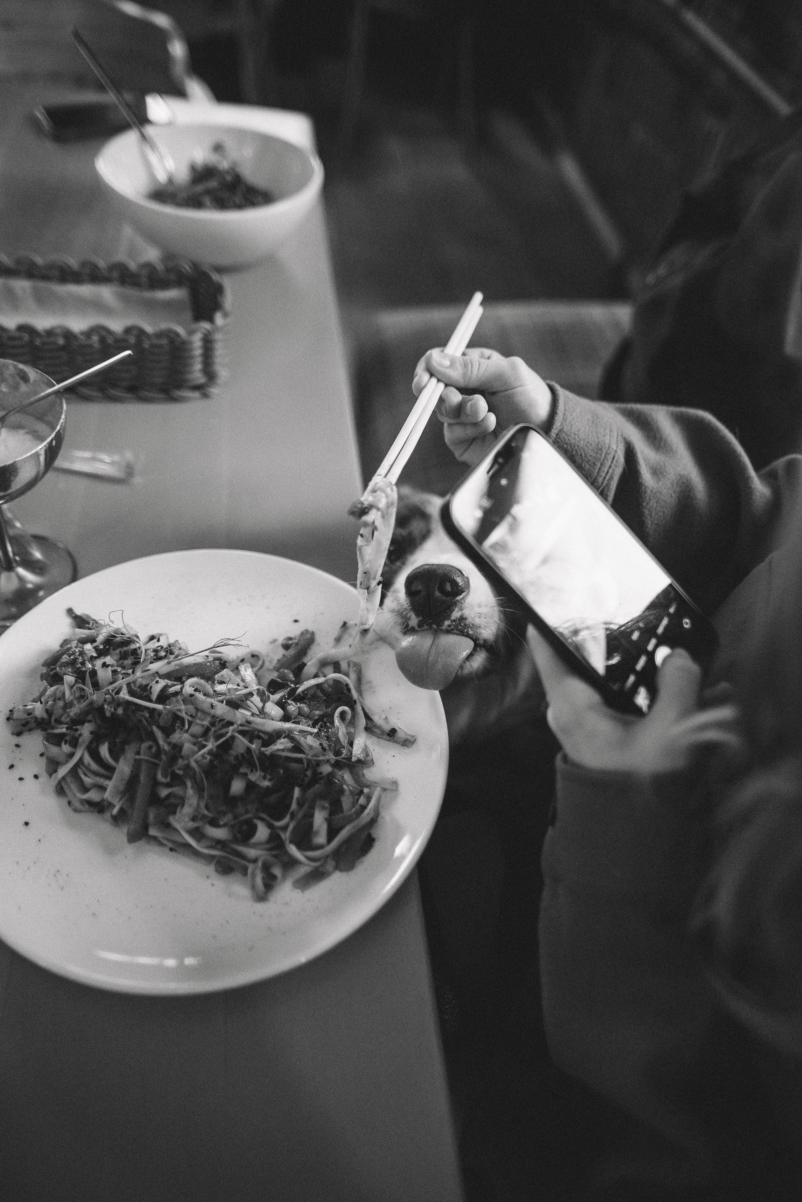 Диана и Робин. Фотограф-анималист Богданова Полина