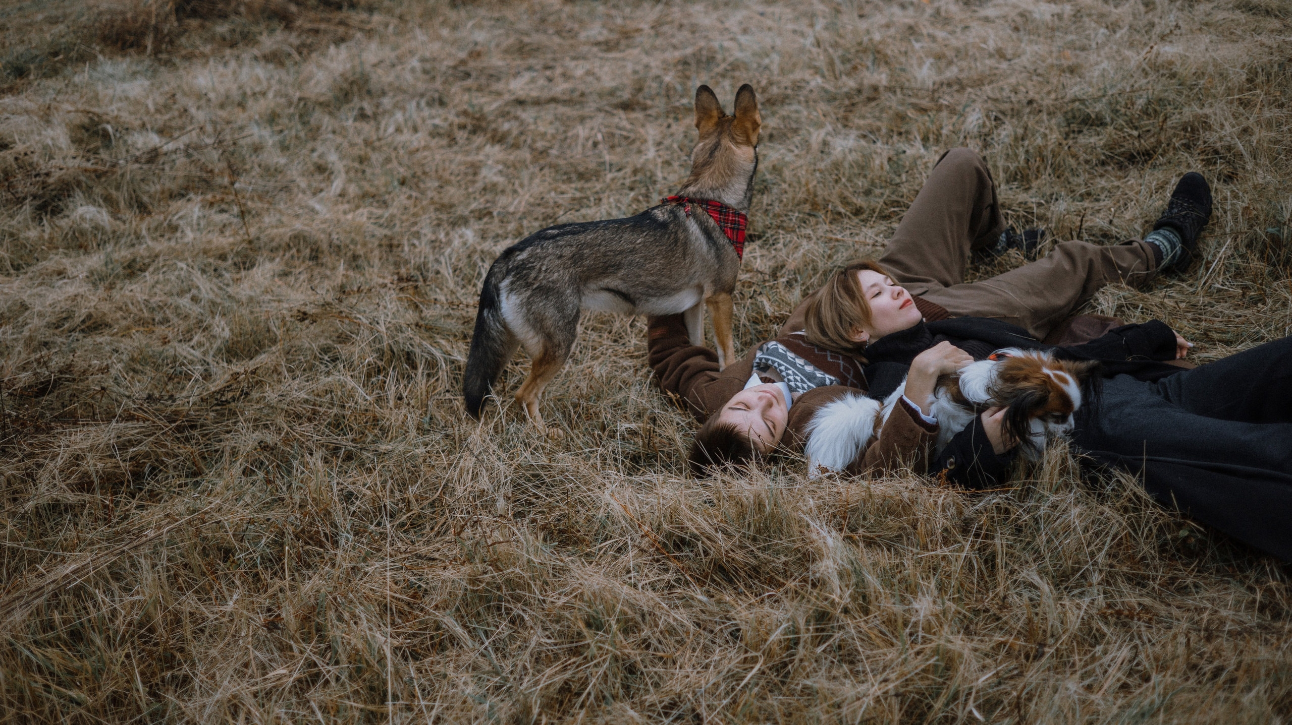 Маша, Катя, Астрид и Мася. Фотограф-анималист Богданова Полина