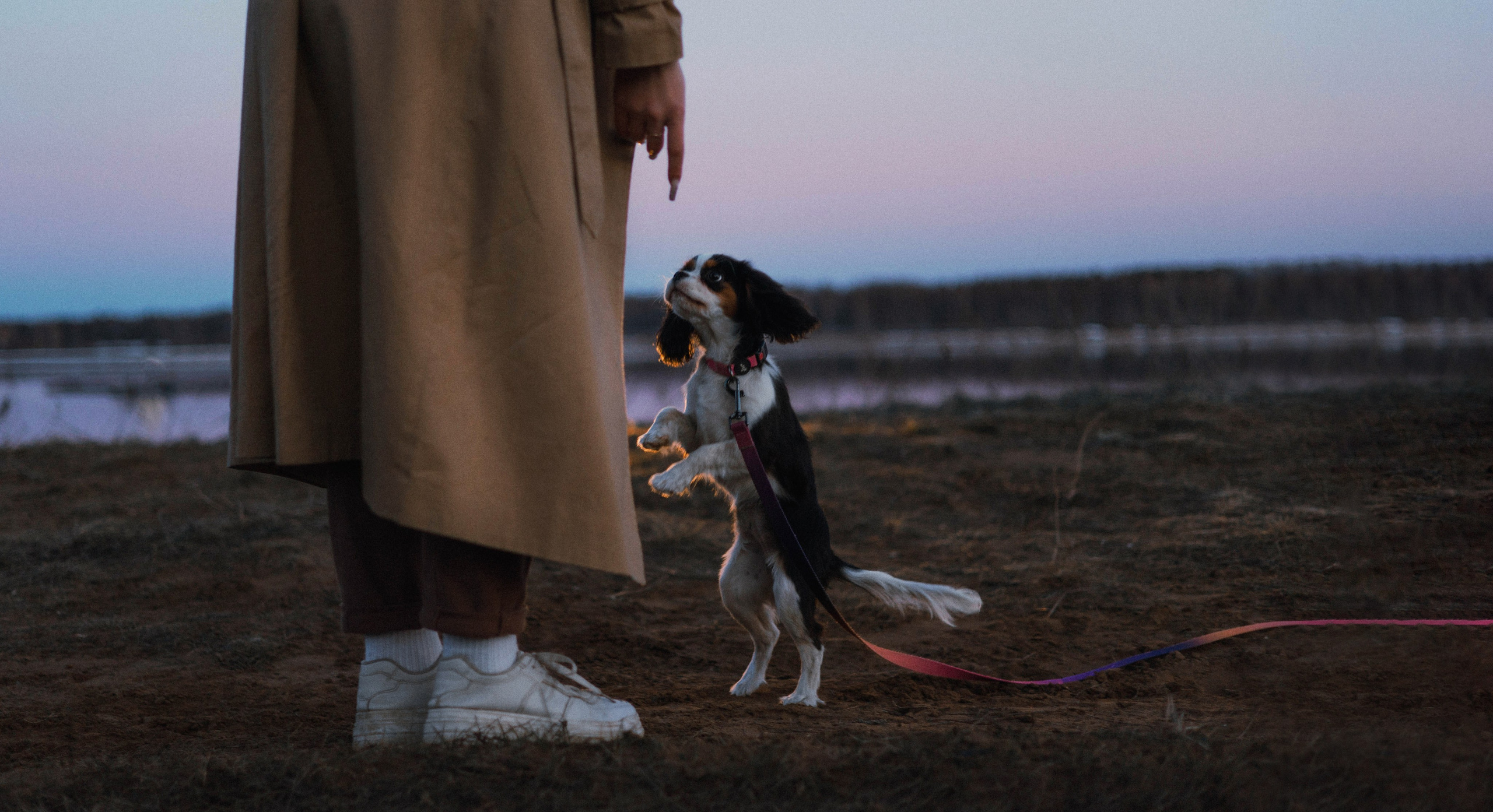Ангелина и Йен. Фотограф-анималист Богданова Полина