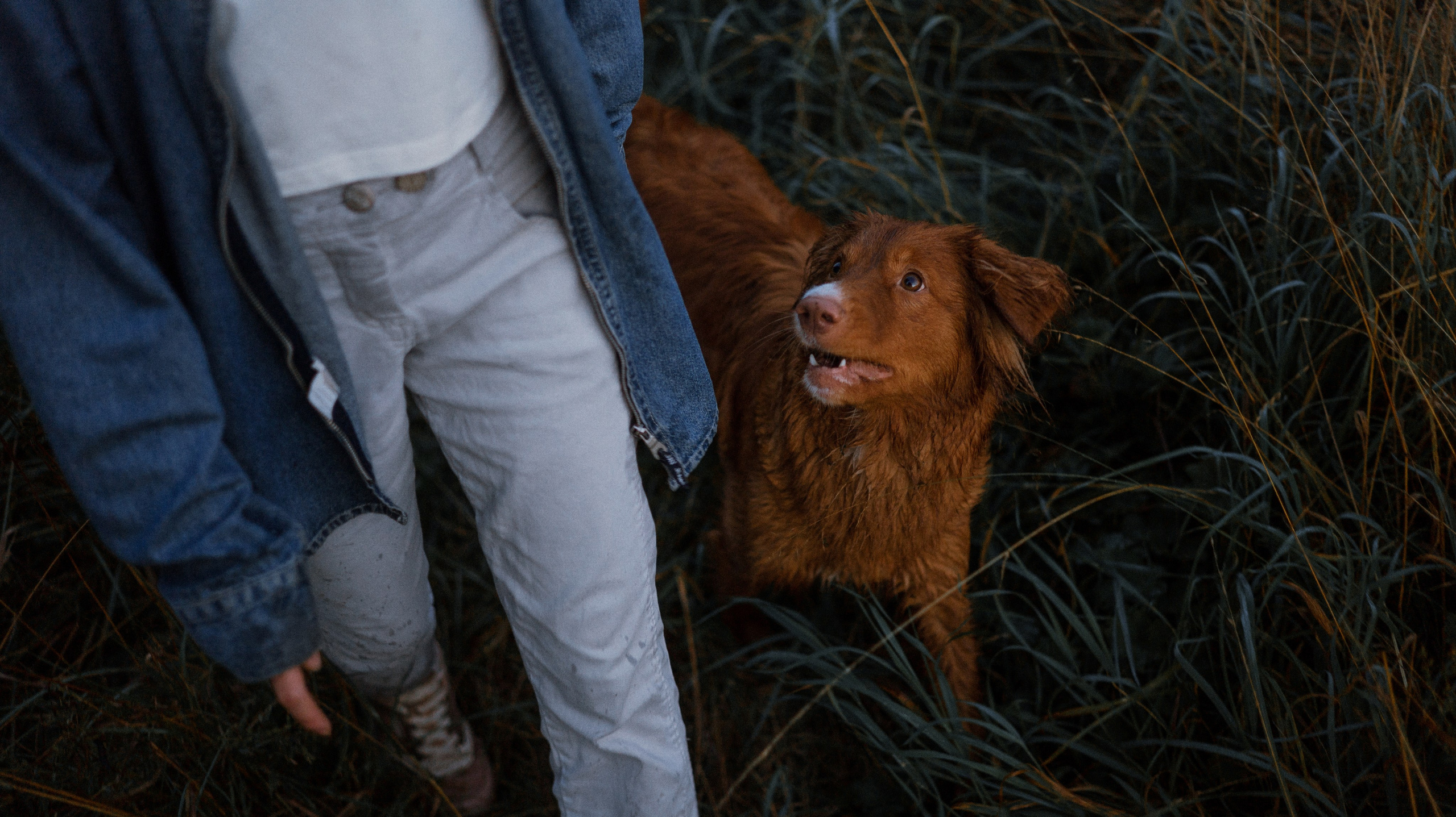 Ксюша и Мэди. Фотограф-анималист Богданова Полина
