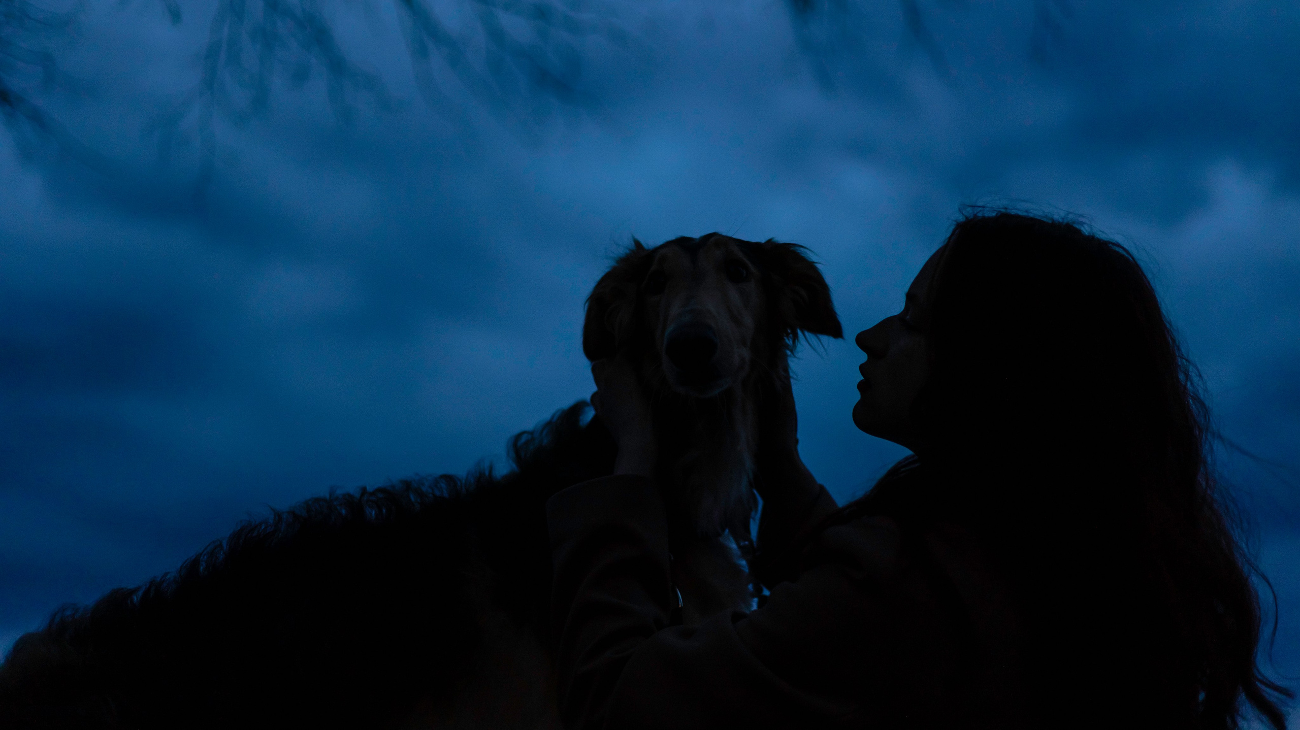 Алёна и Леви. Фотограф-анималист Богданова Полина