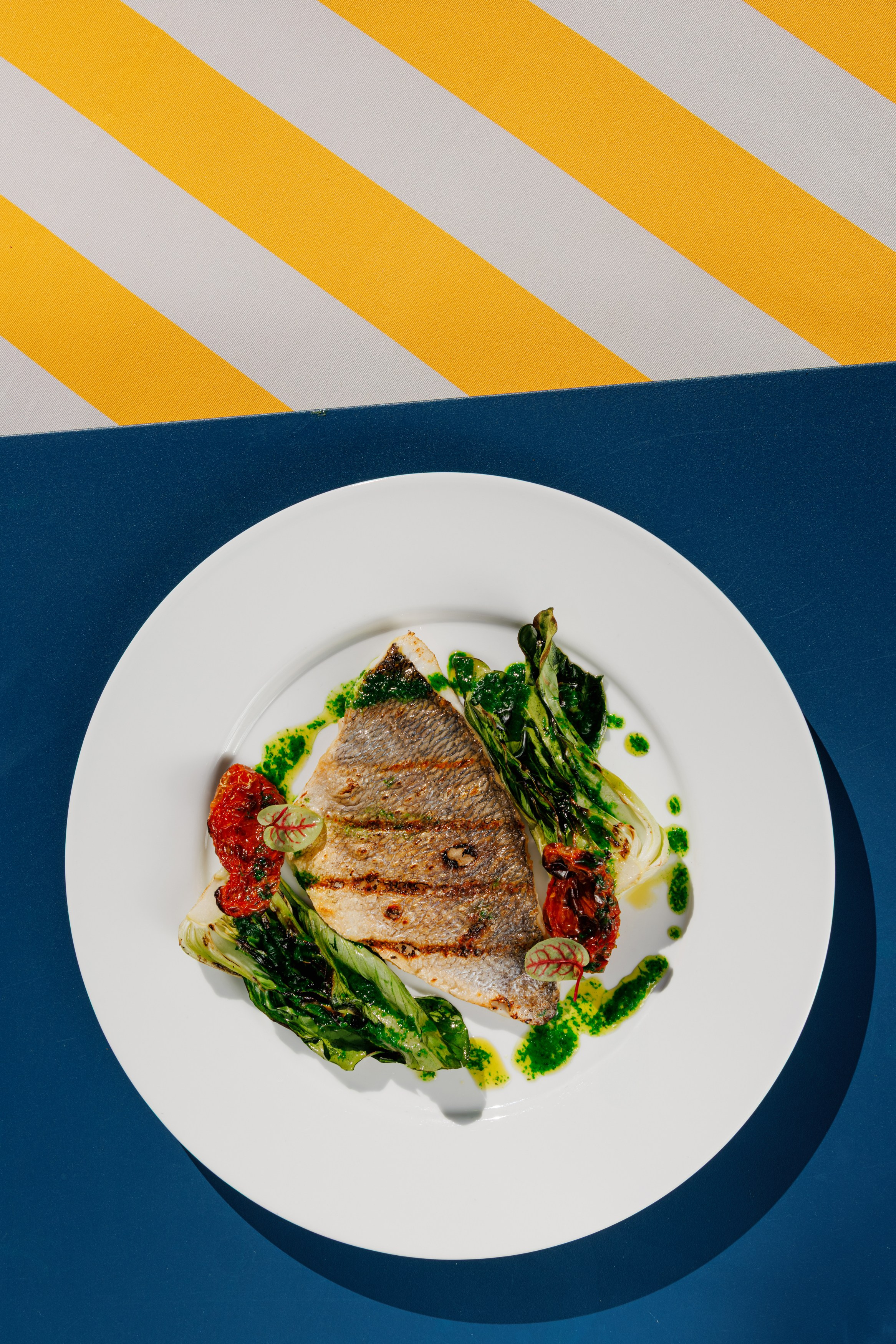 Muze Garden. Night2Day Санкт-Петербург