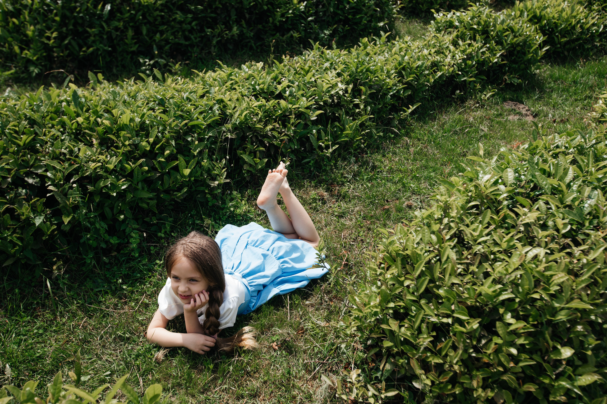 Tea plantation. Efimova Model Agency