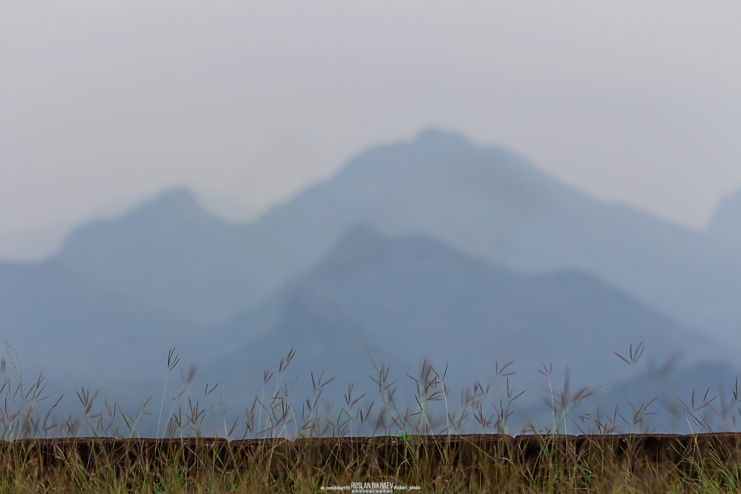 ШРИ-ЛАНКА 2025 / SRI LANKA 2025. Главная