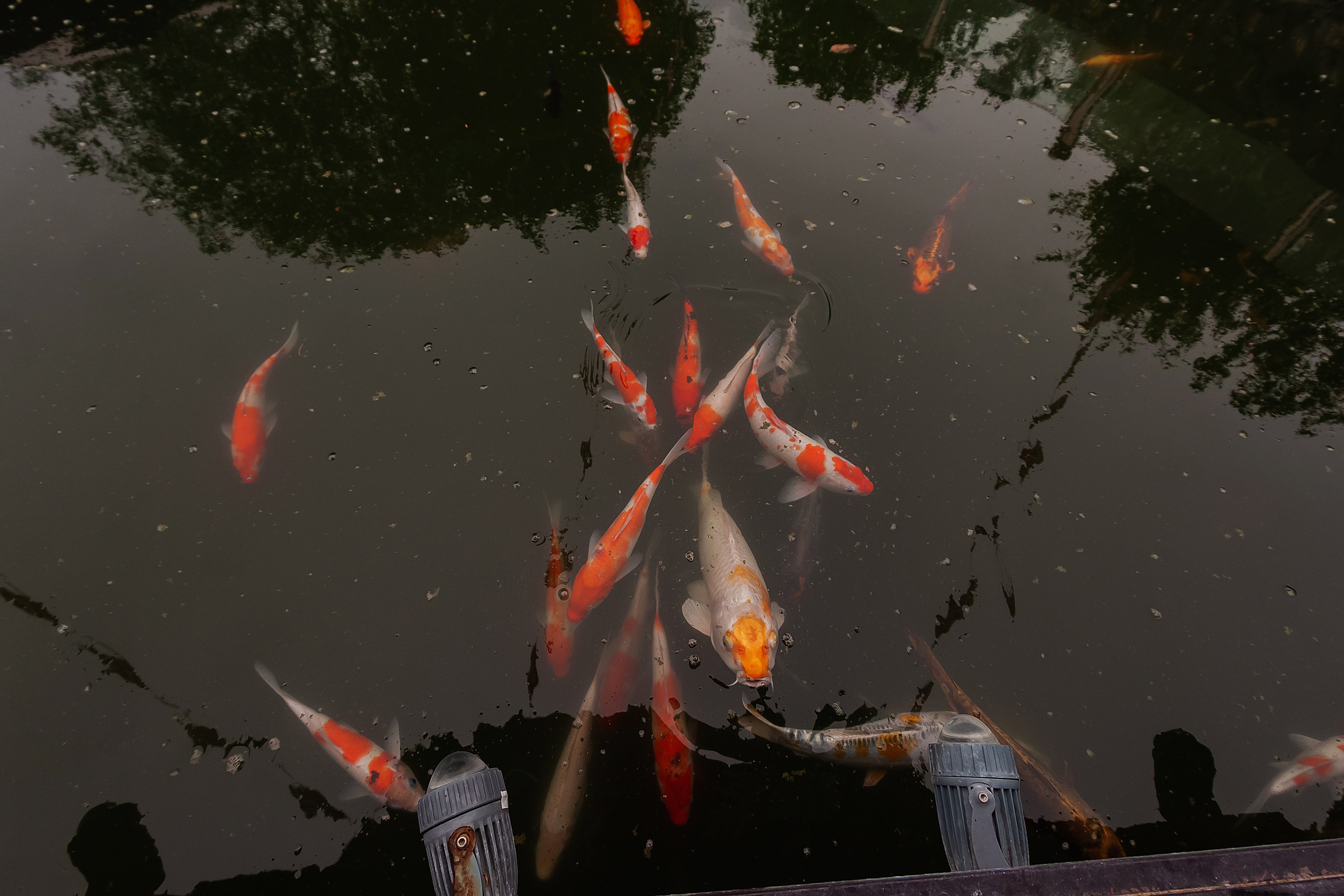 ВЬЕТНАМ 2023 / VIEtTNAM 2024. Главная