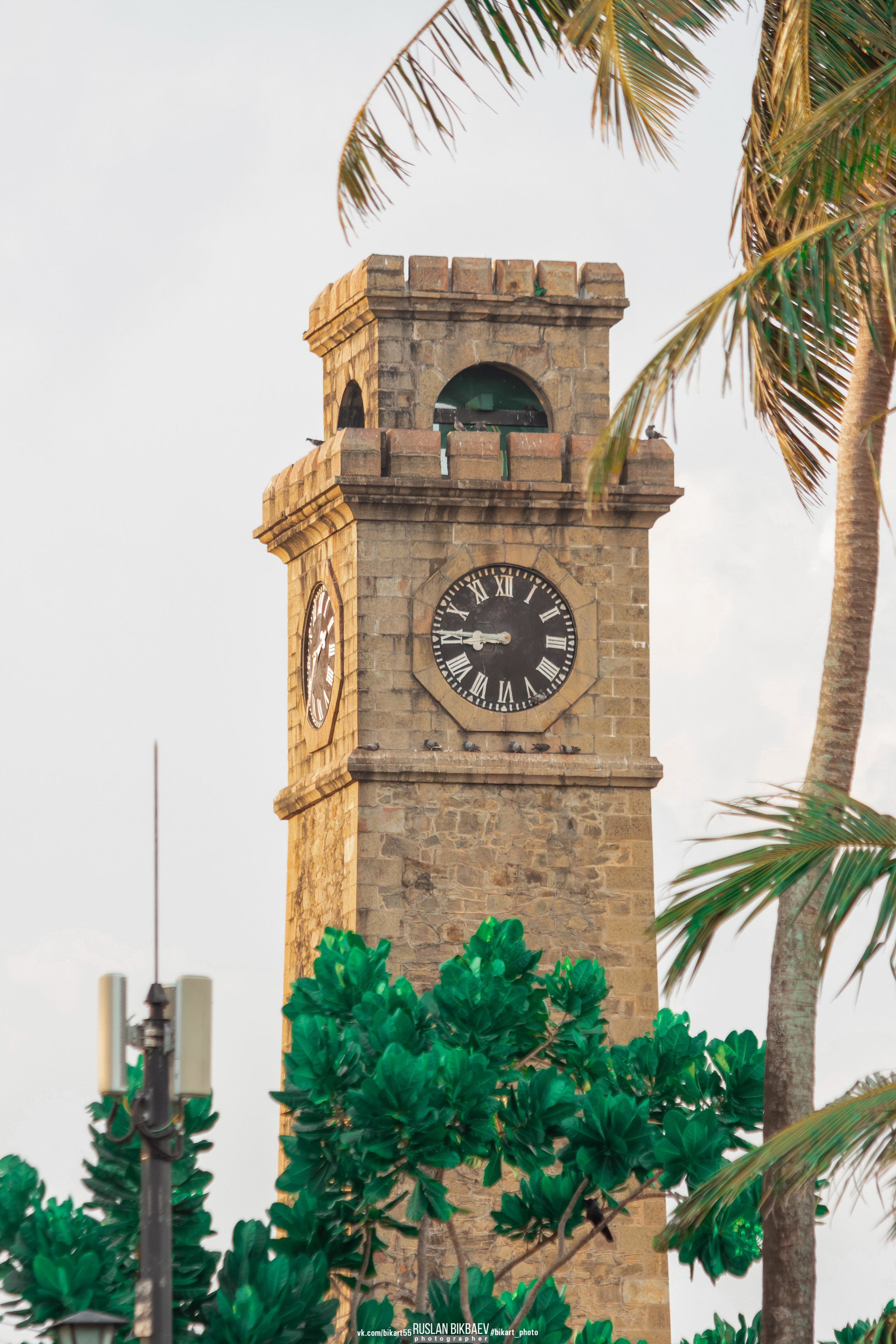 ШРИ-ЛАНКА 2025 / SRI LANKA 2025. Главная