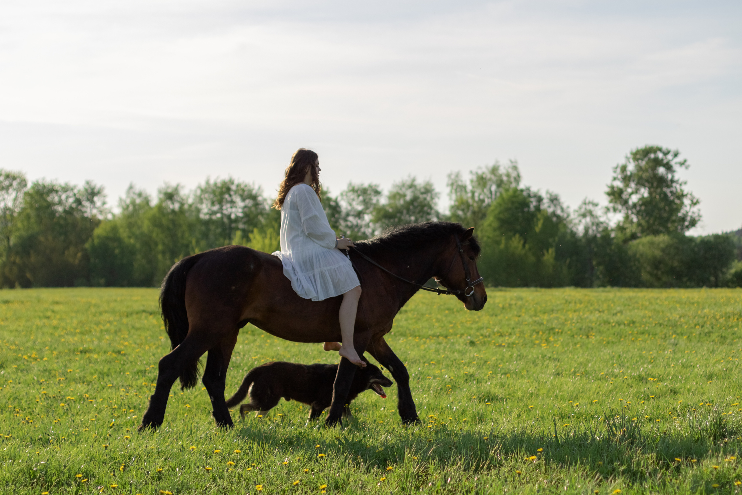Ира и Гром. Фотограф Кристина Голубева г. Сергиев Посад