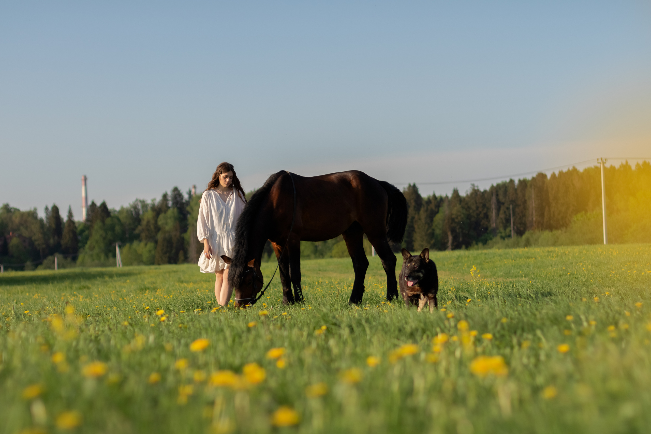 Ира и Гром. Фотограф Кристина Голубева г. Сергиев Посад