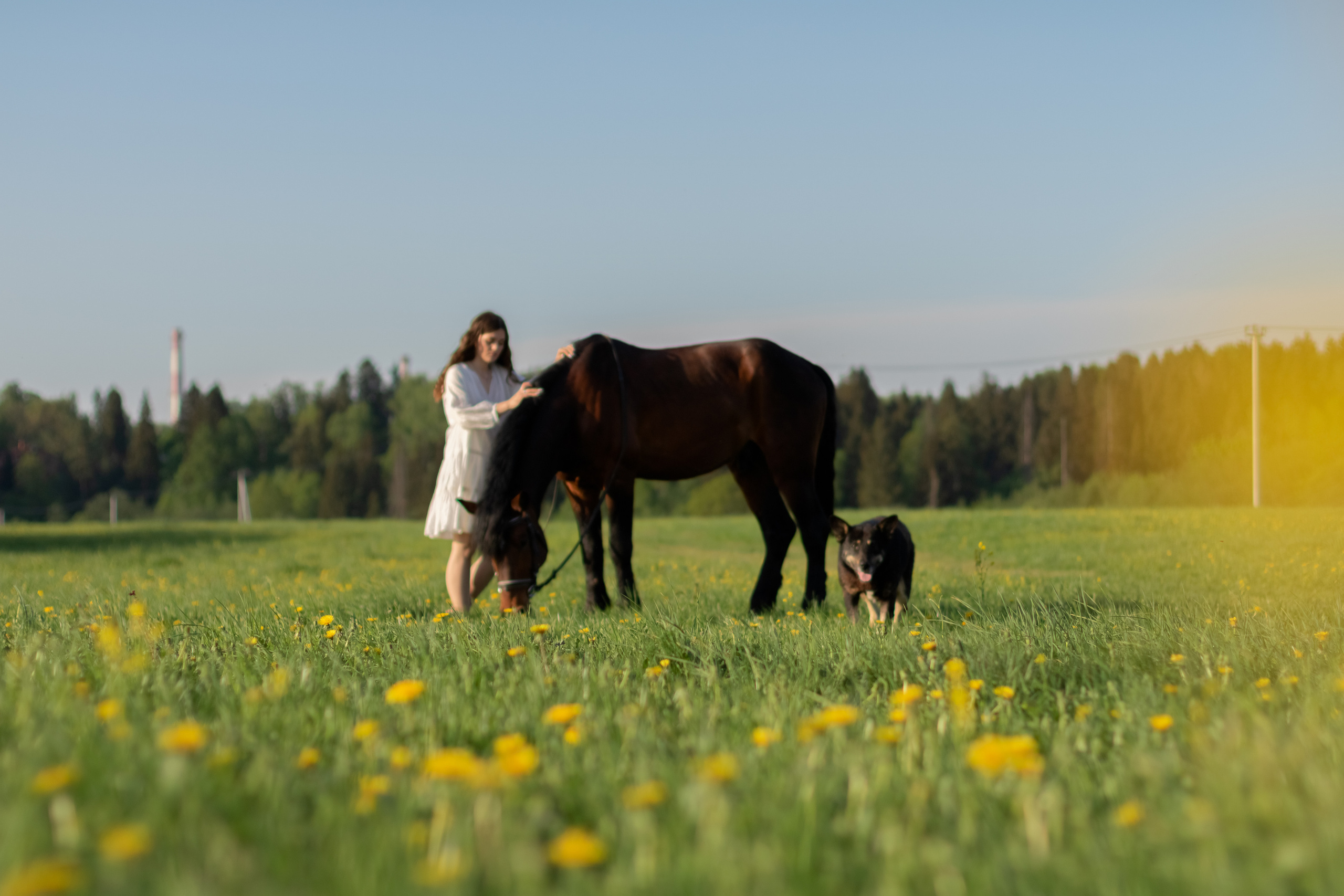 Ира и Гром. Фотограф Кристина Голубева г. Сергиев Посад