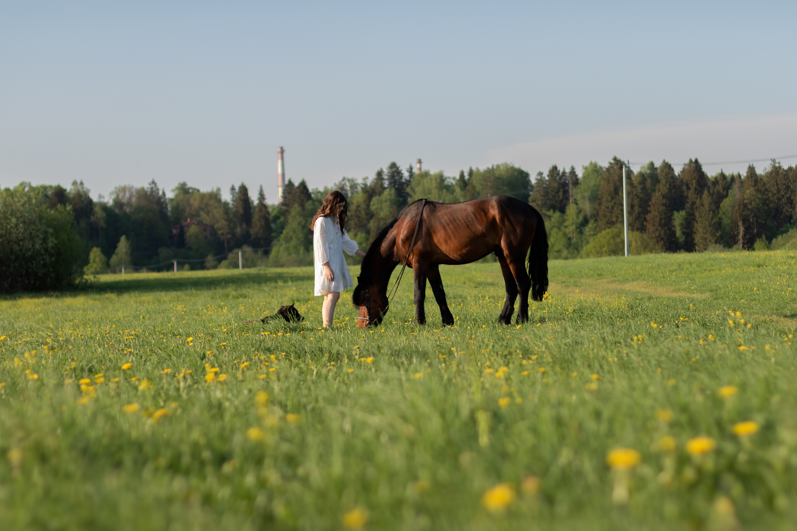 Ира и Гром. Фотограф Кристина Голубева г. Сергиев Посад