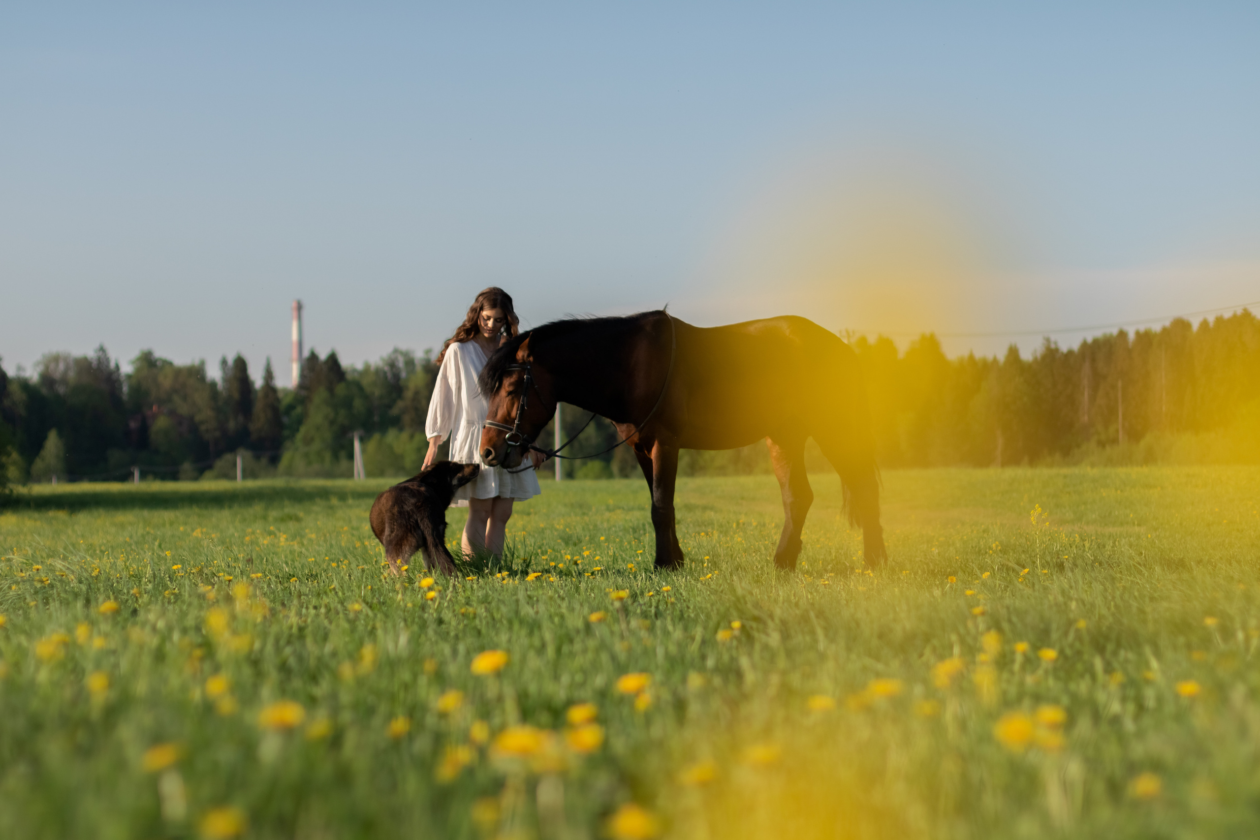 Ира и Гром. Фотограф Кристина Голубева г. Сергиев Посад