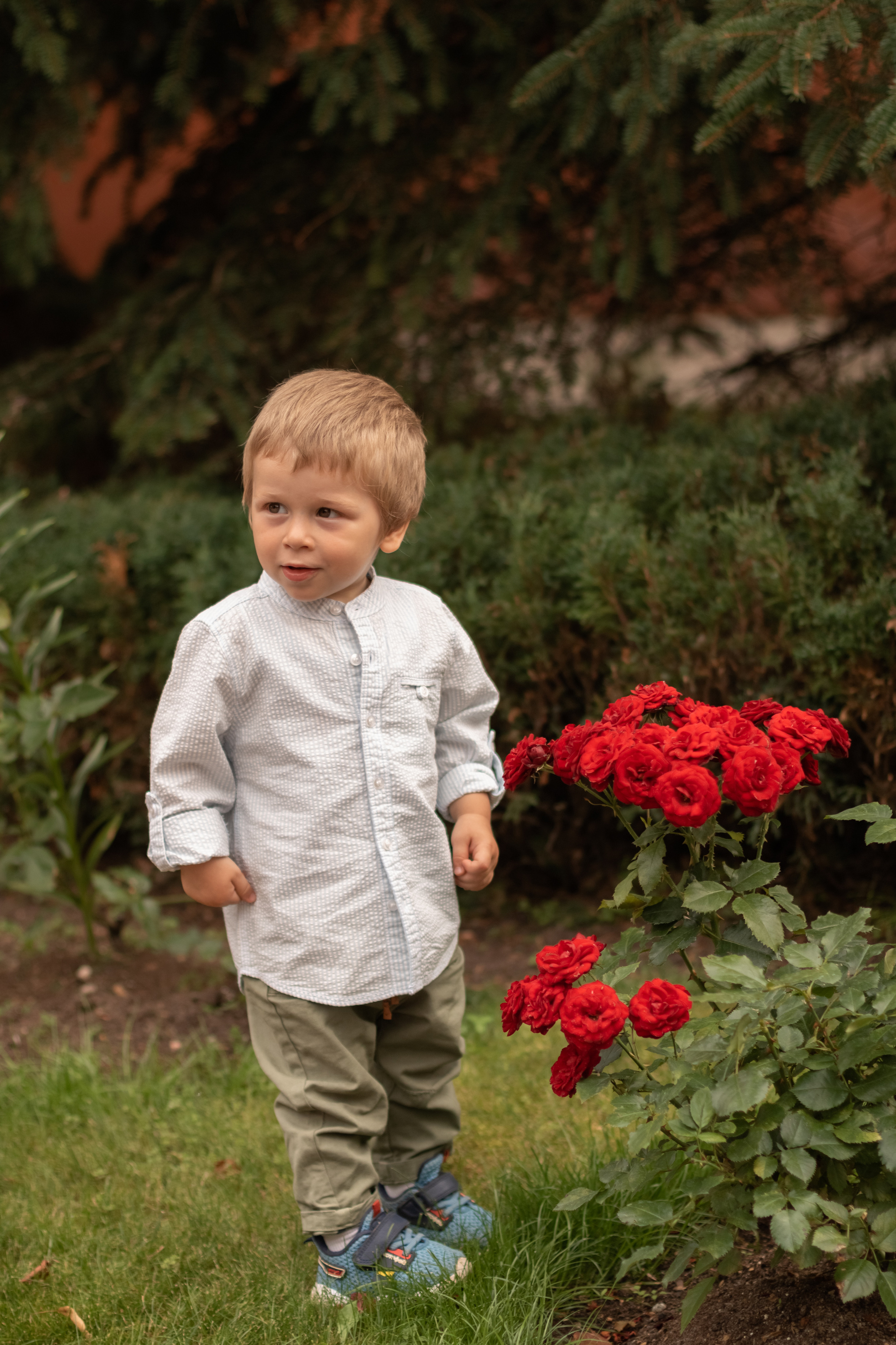 Алина и Даниэль. Фотограф Кристина Голубева г. Сергиев Посад