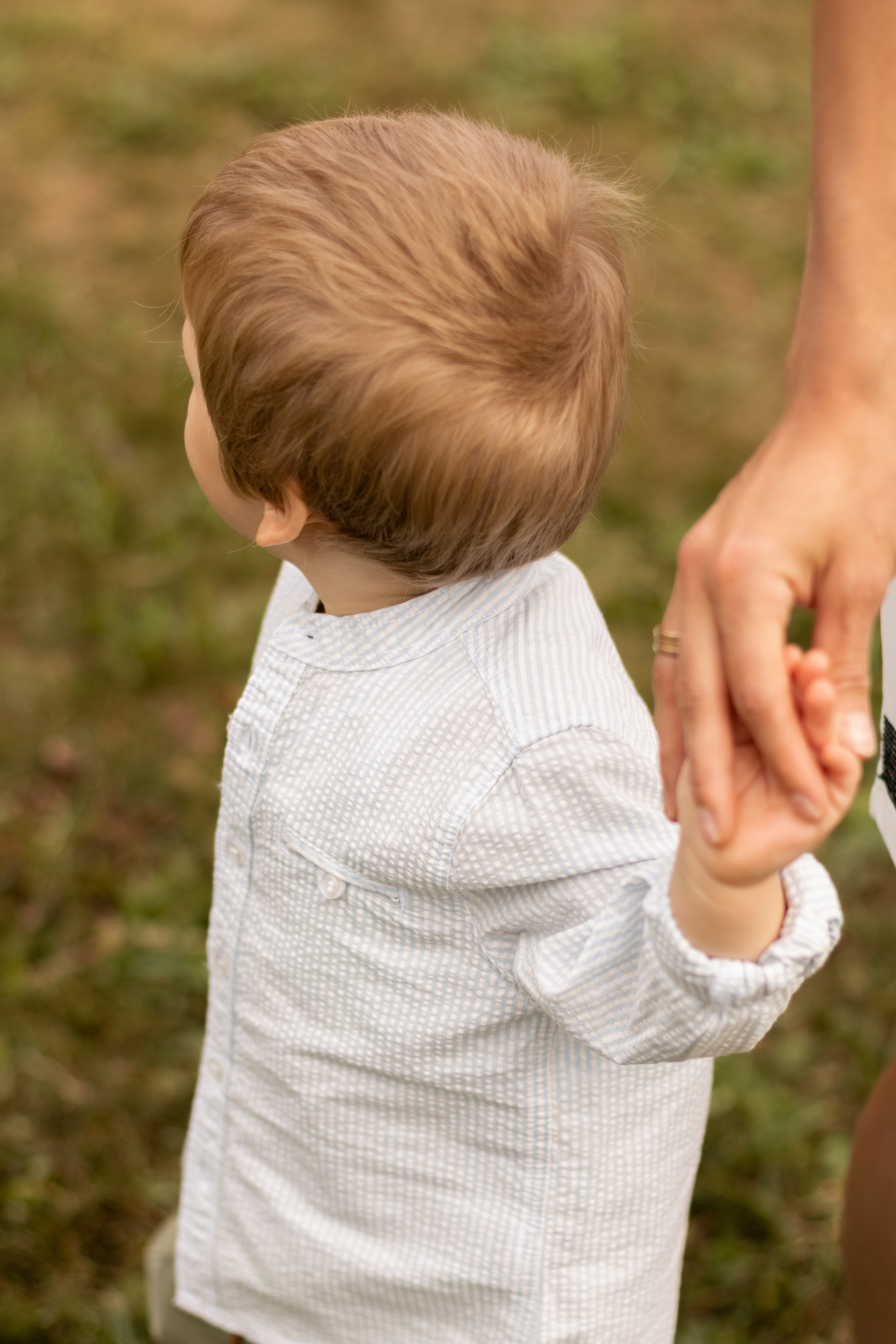 Алина и Даниэль. Фотограф Кристина Голубева г. Сергиев Посад