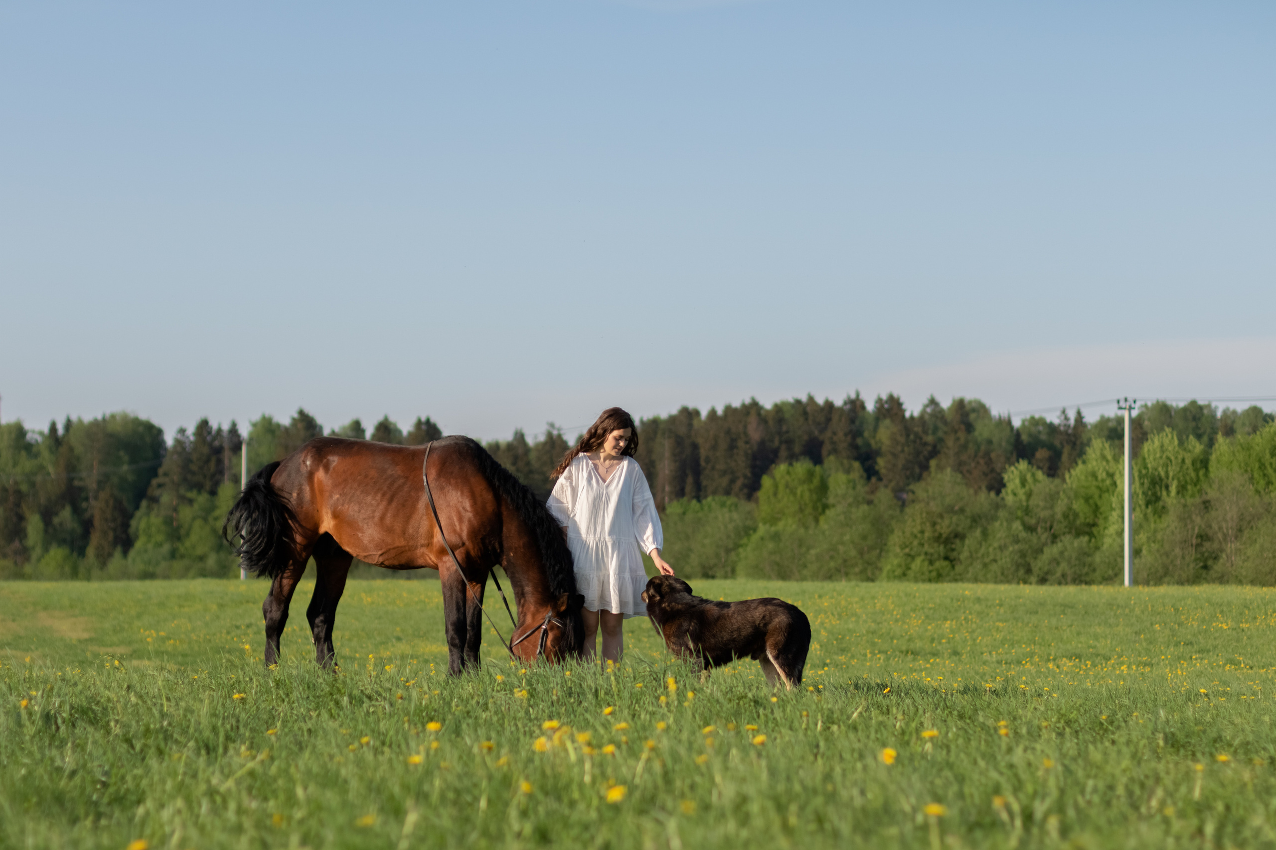 Ира и Гром. Фотограф Кристина Голубева г. Сергиев Посад