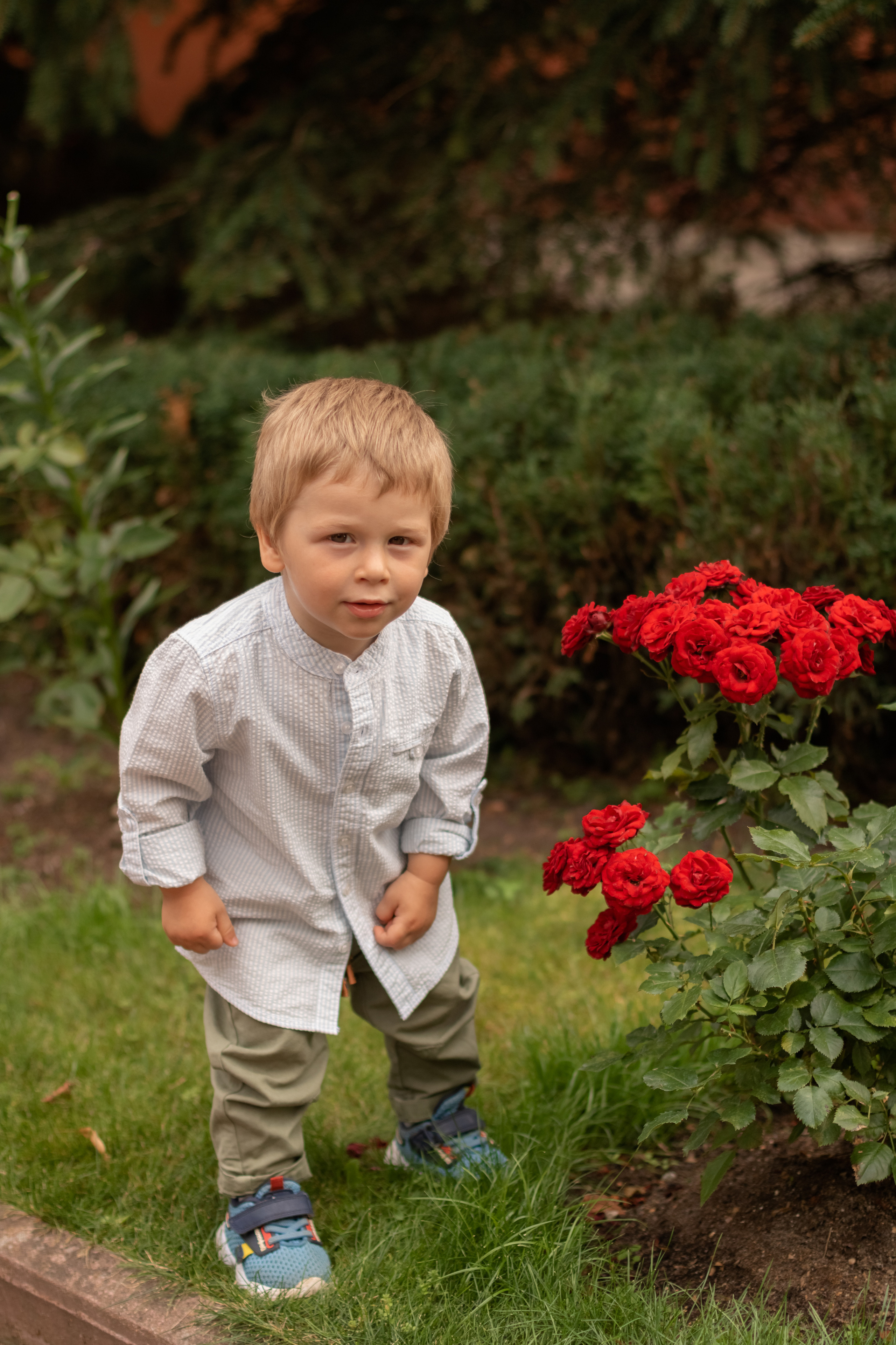 Алина и Даниэль. Фотограф Кристина Голубева г. Сергиев Посад