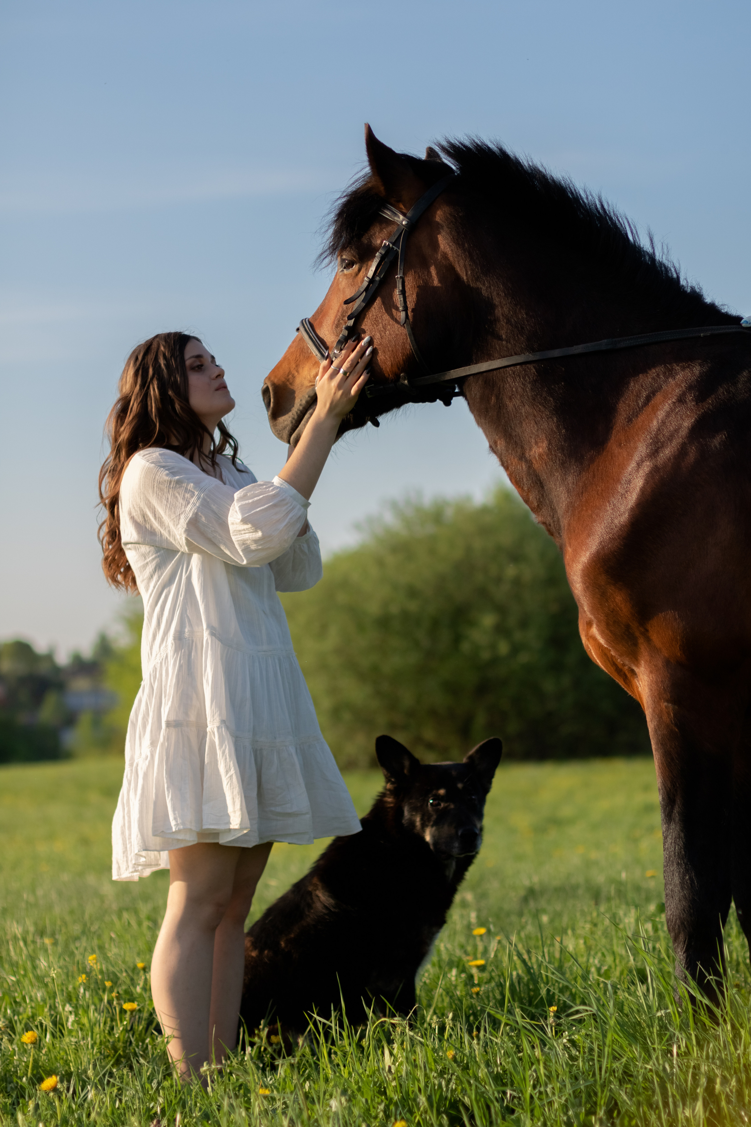 Ира и Гром. Фотограф Кристина Голубева г. Сергиев Посад
