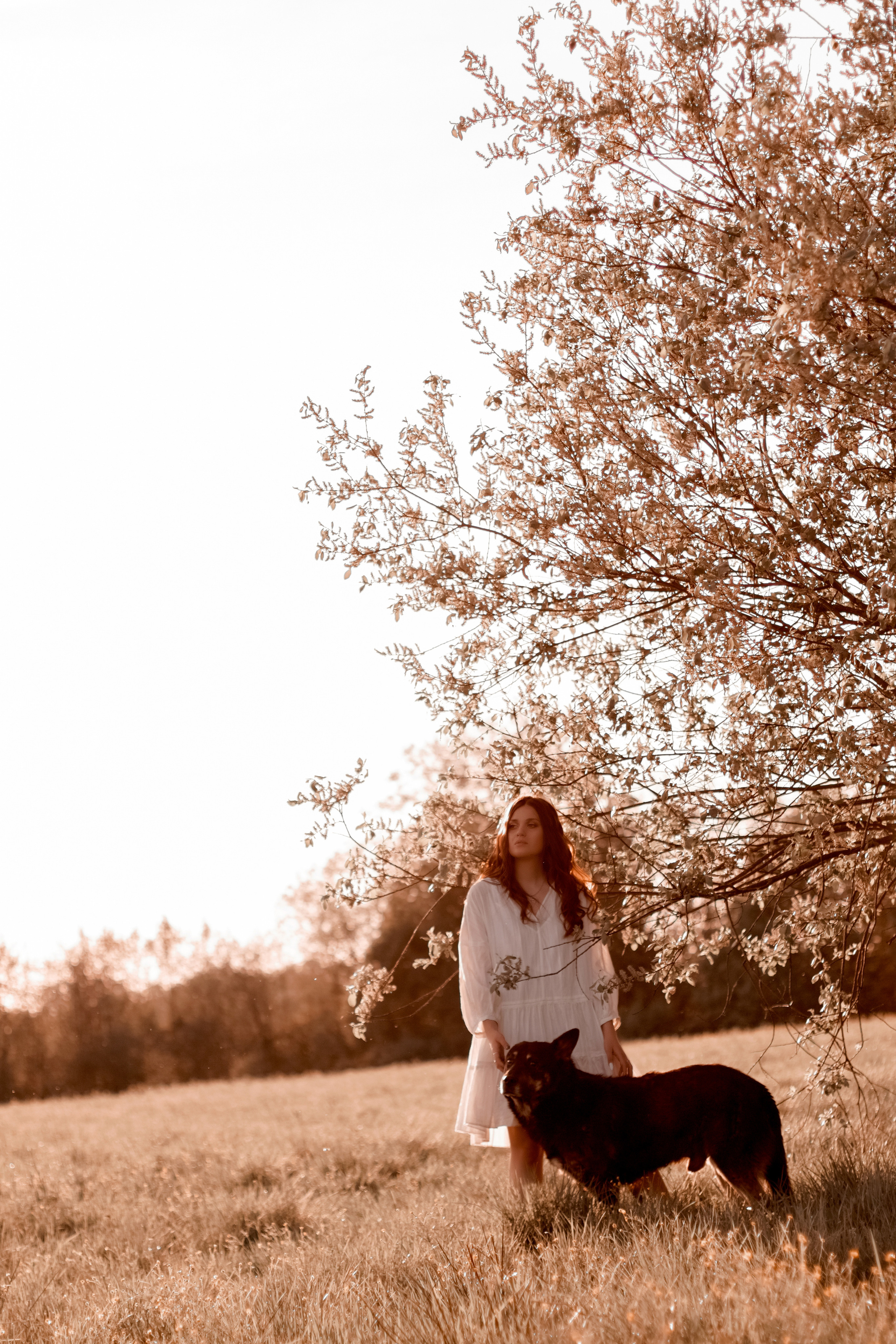 Ира и Гром. Фотограф Кристина Голубева г. Сергиев Посад