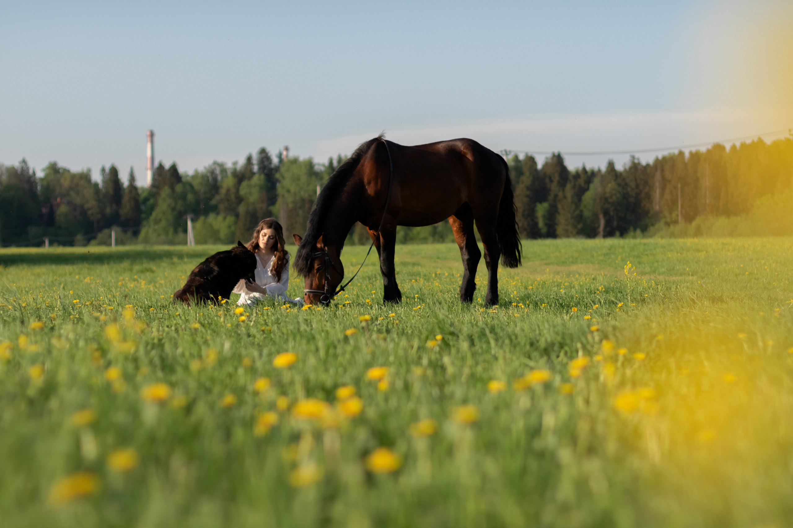 Ира и Гром. Фотограф Кристина Голубева г. Сергиев Посад