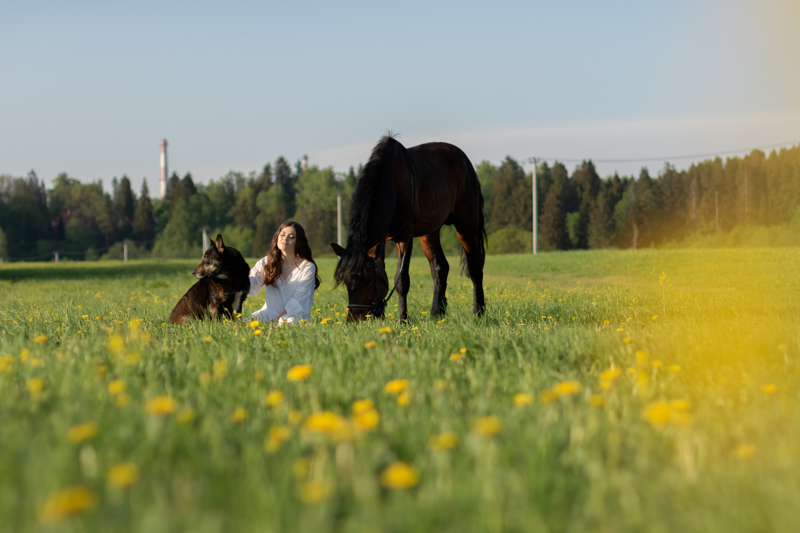 Ира и Гром. Фотограф Кристина Голубева г. Сергиев Посад